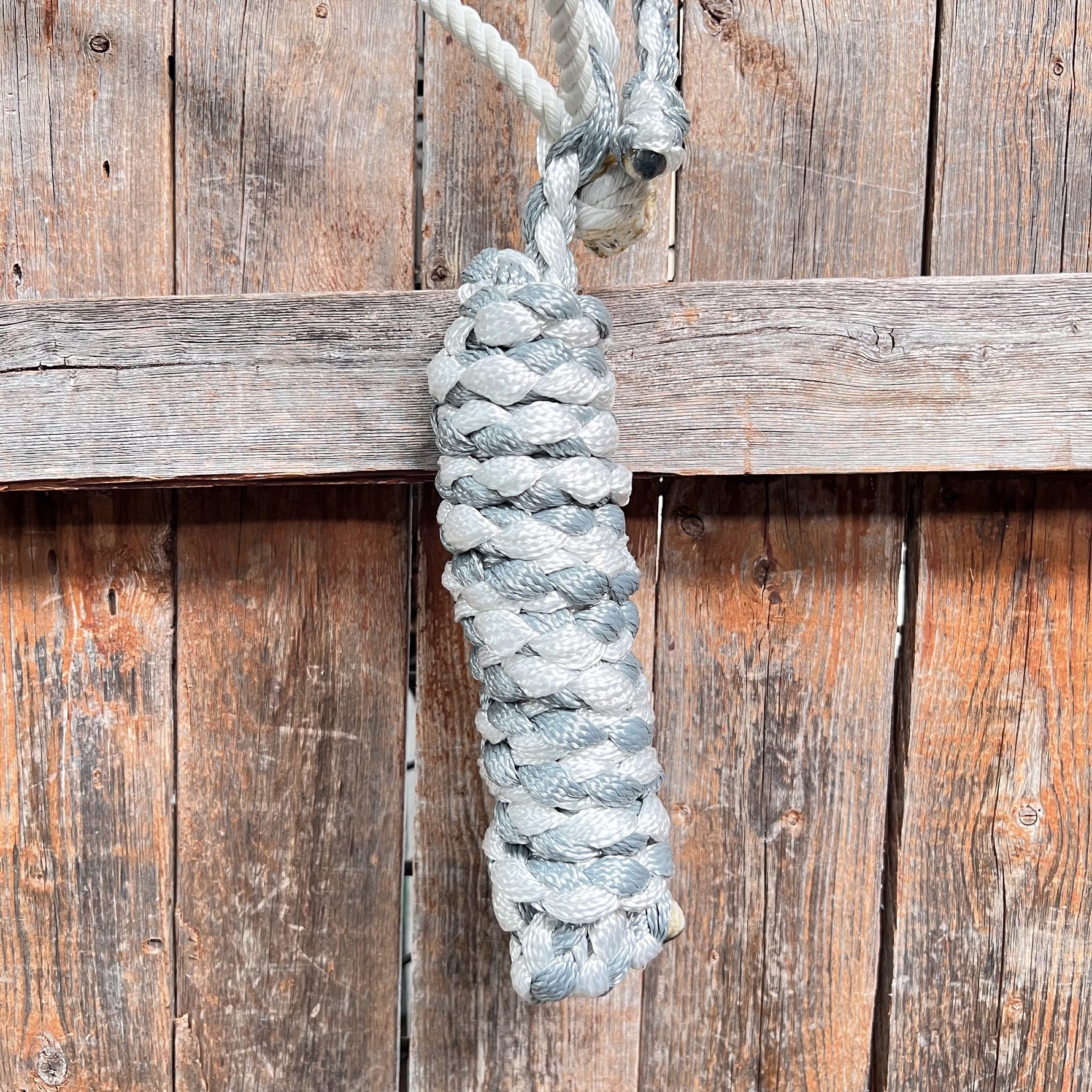 Grey and White Lariat Noseband Mule Tape Halter