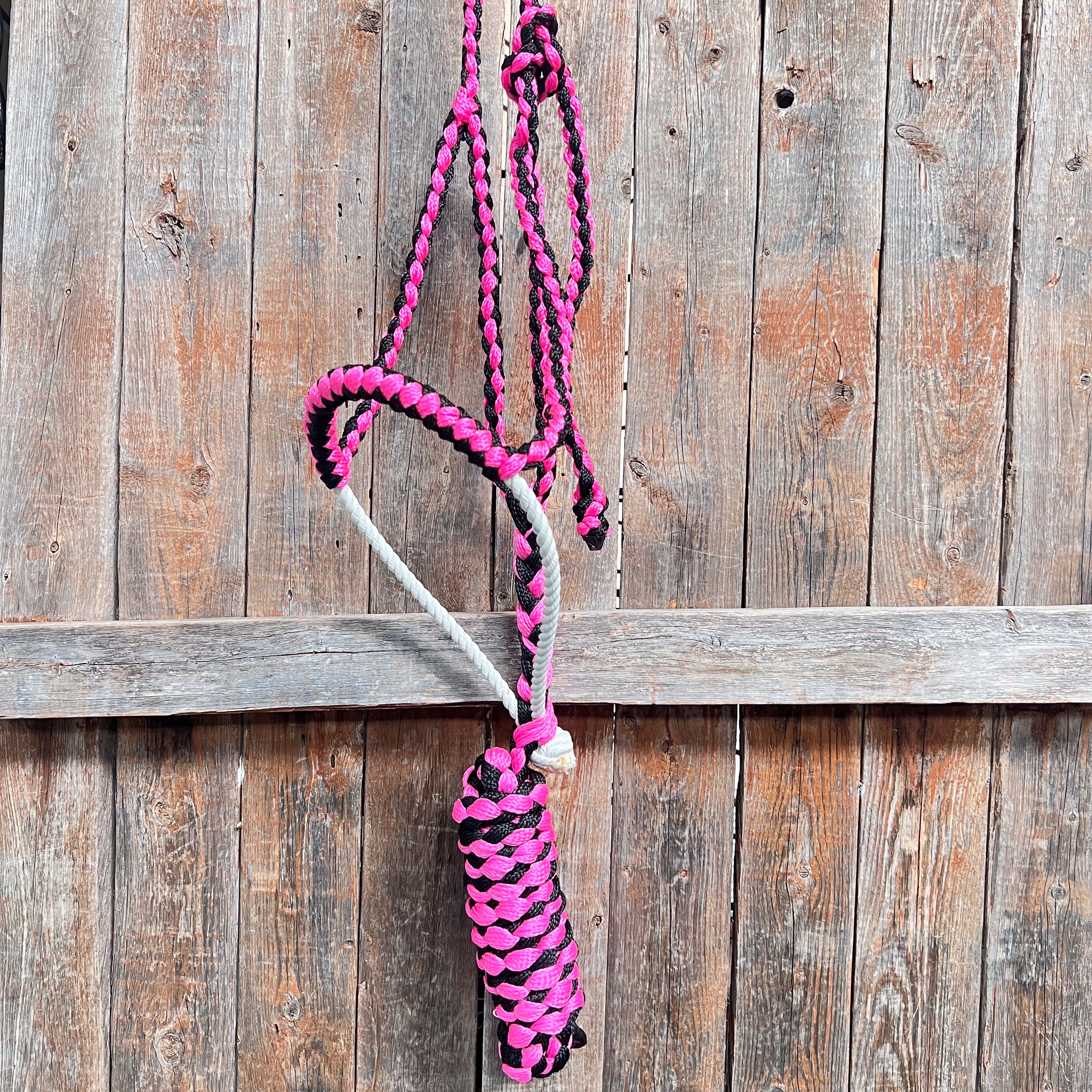 Pink and Black Lariat Noseband Mule Tape Halter