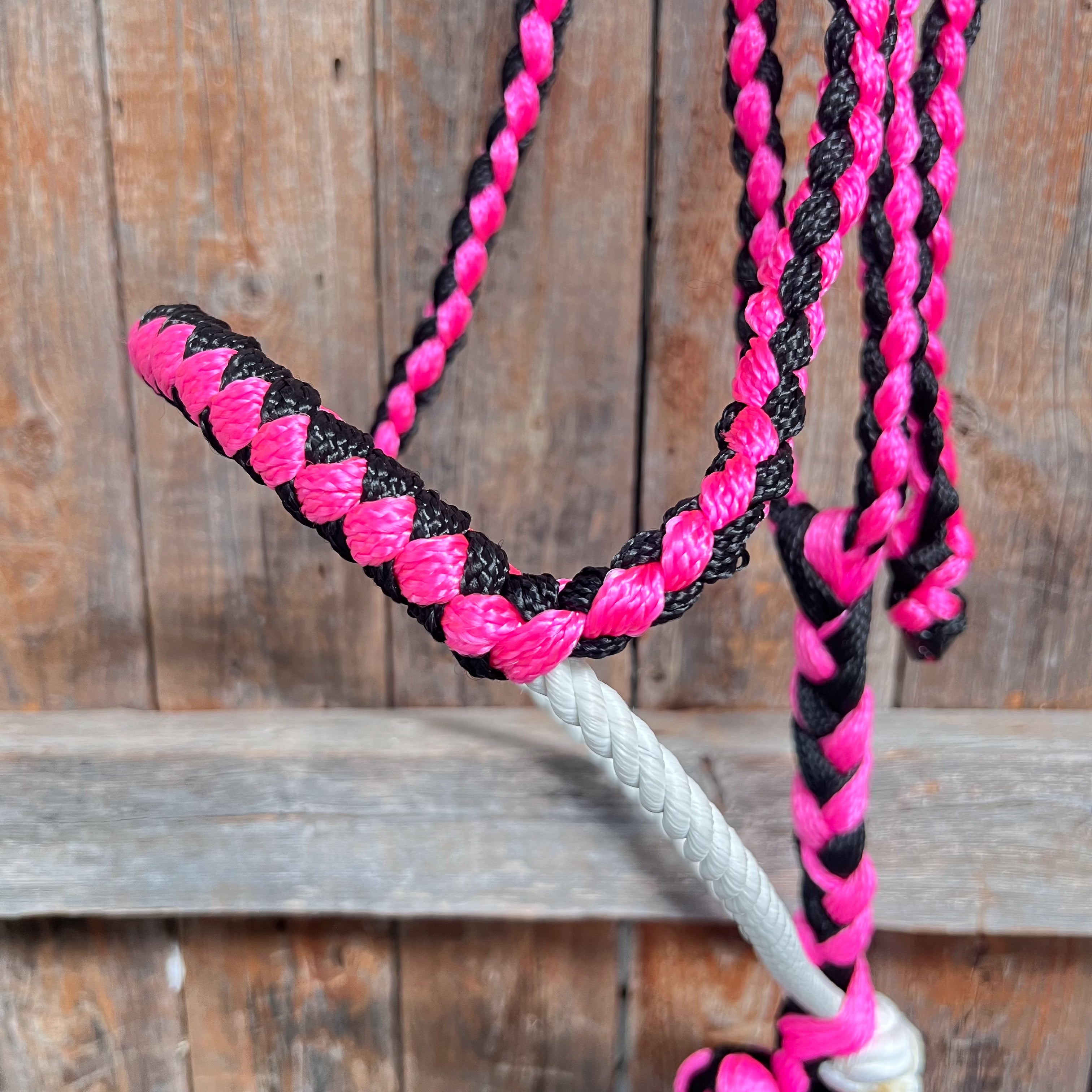 Pink and Black Lariat Noseband Mule Tape Halter