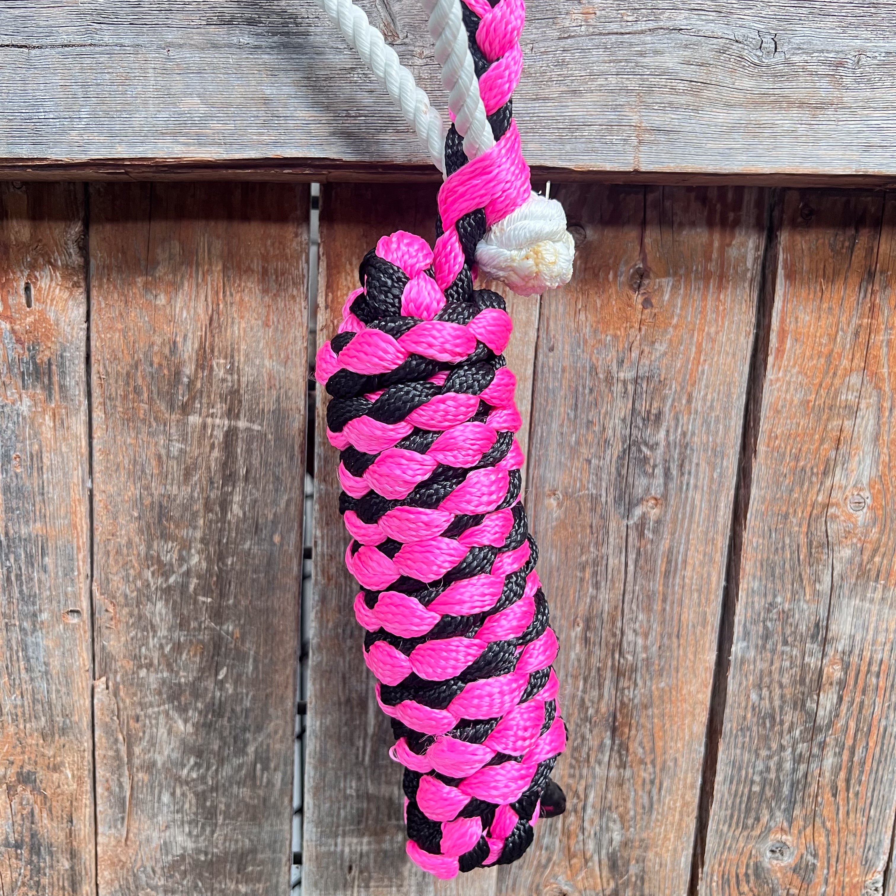 Pink and Black Lariat Noseband Mule Tape Halter