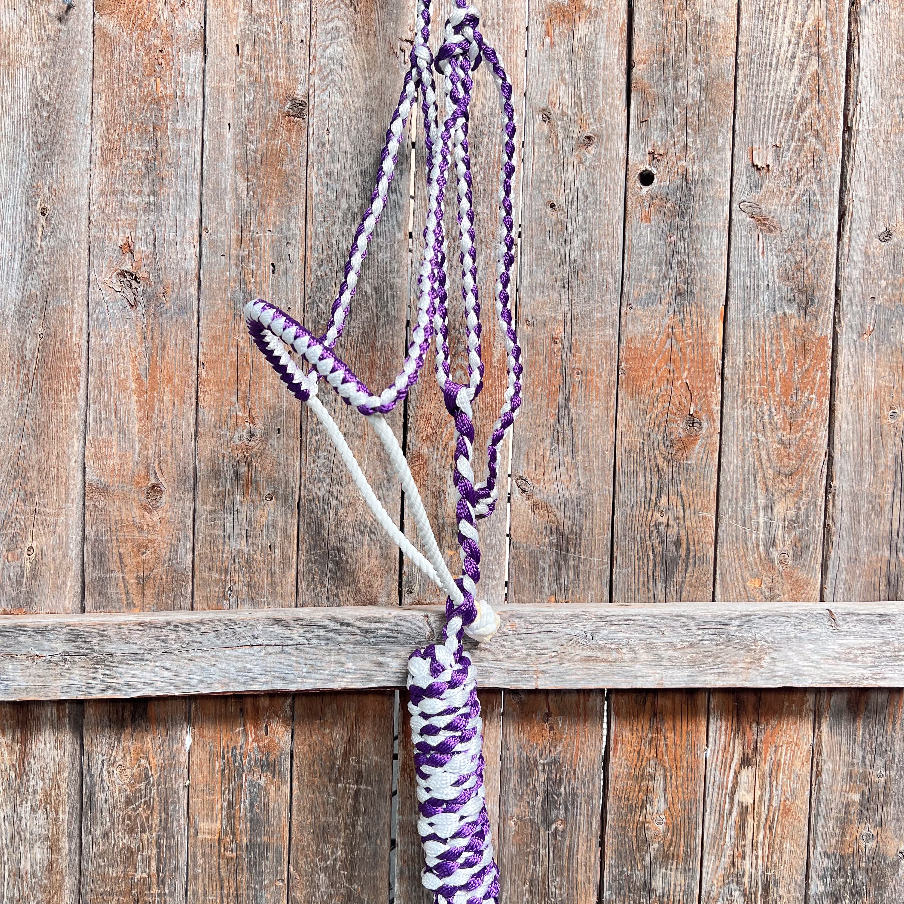 Purple and White Lariat Noseband Mule Tape Halter