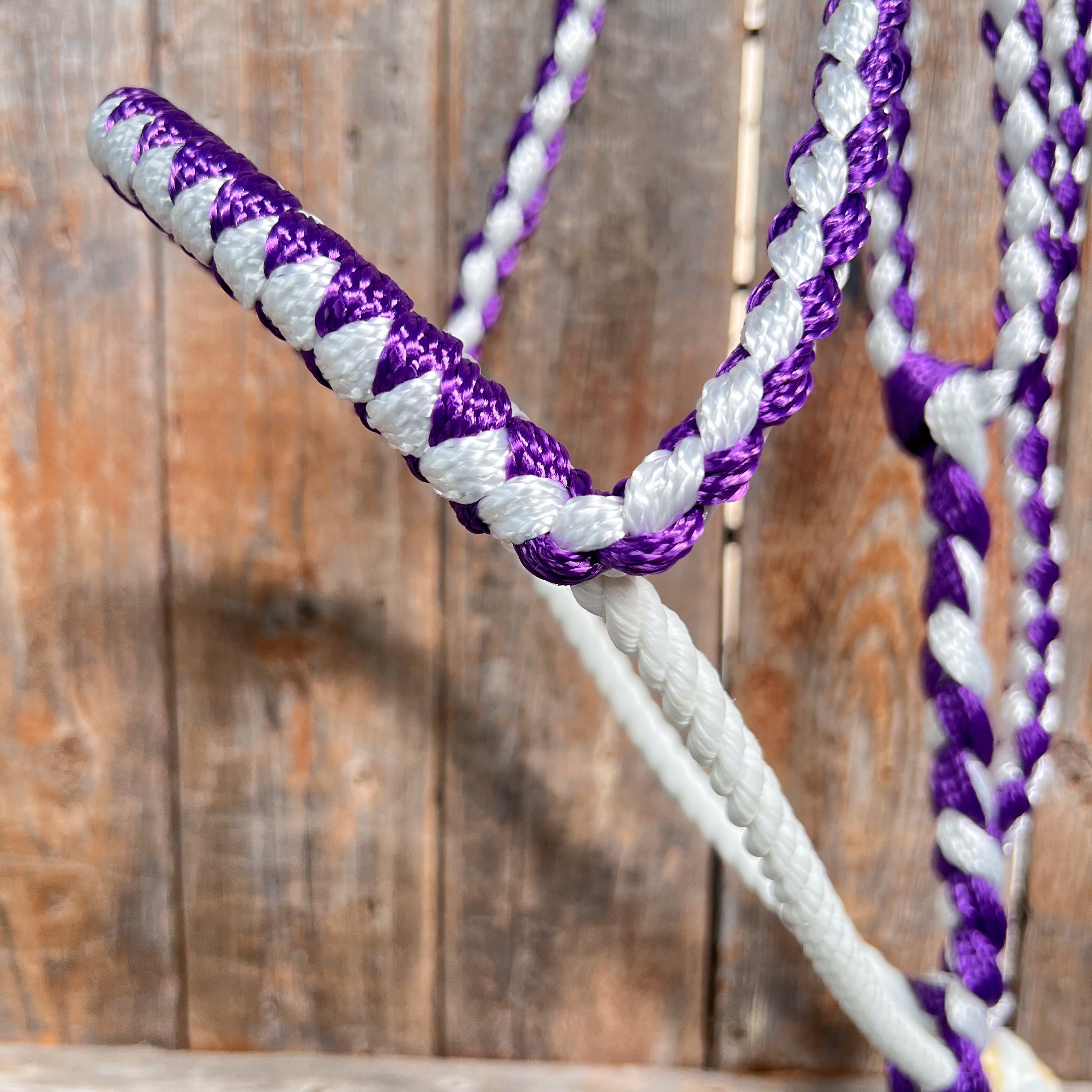 Purple and White Lariat Noseband Mule Tape Halter
