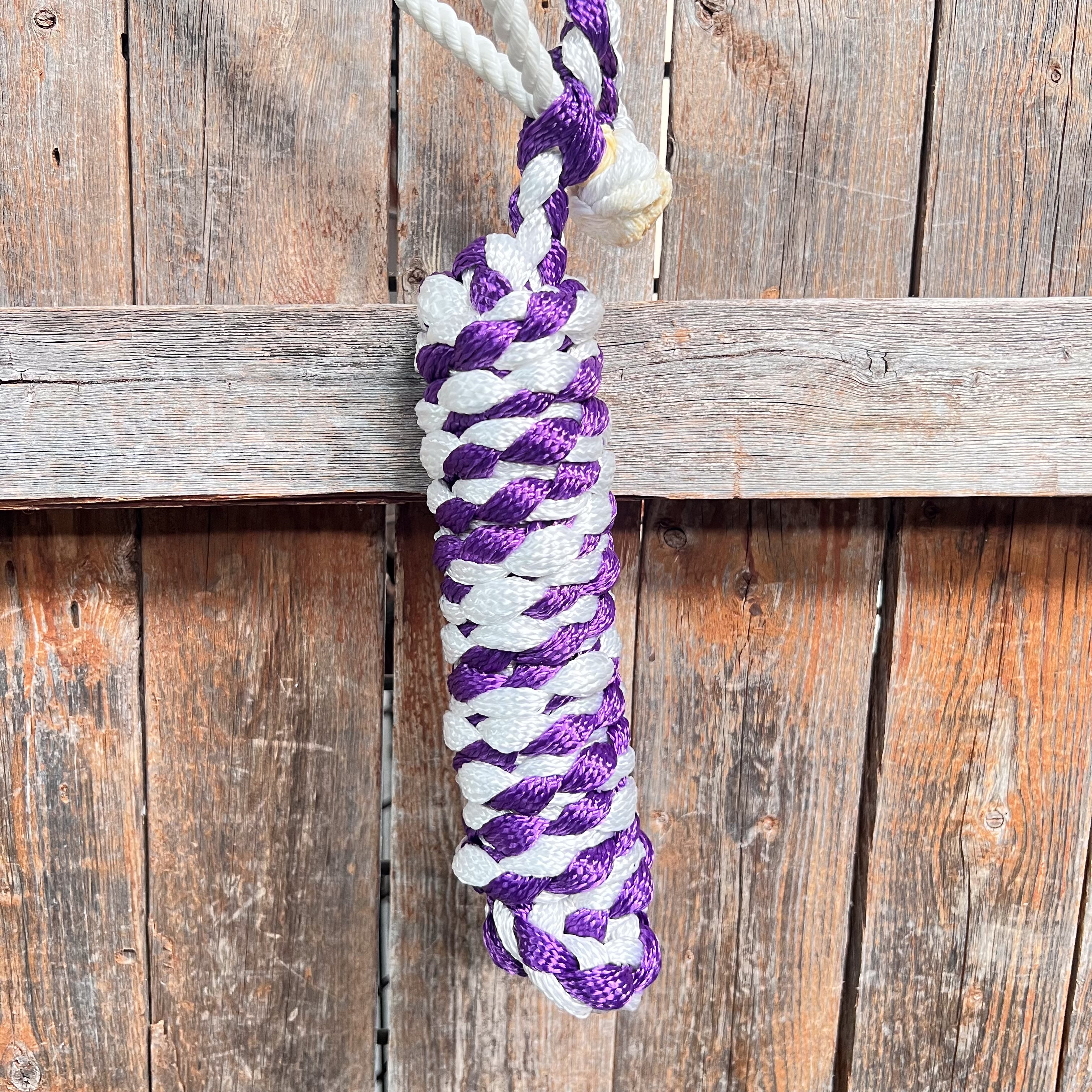 Purple and White Lariat Noseband Mule Tape Halter