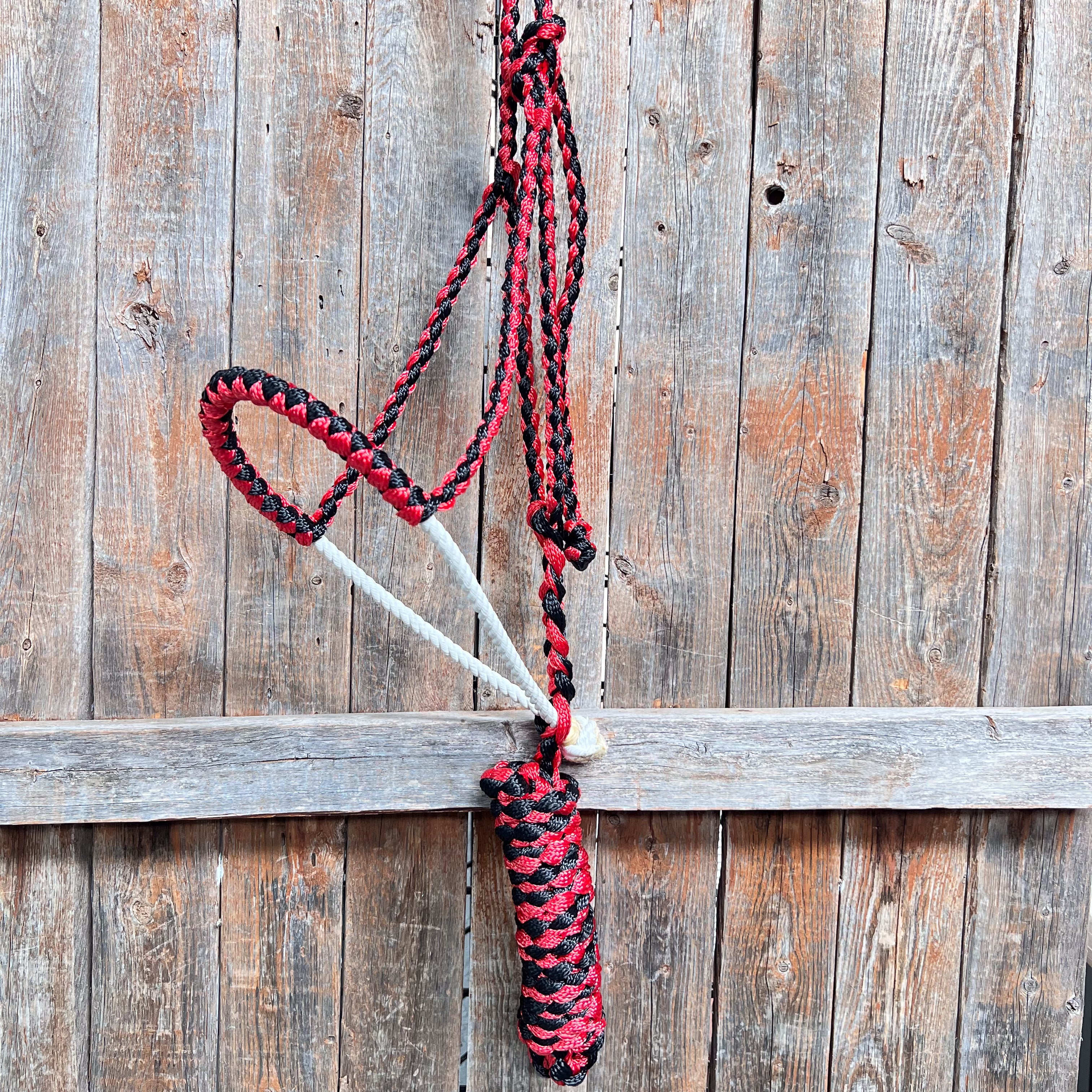 Red and Black Lariat Noseband Mule Tape Halter