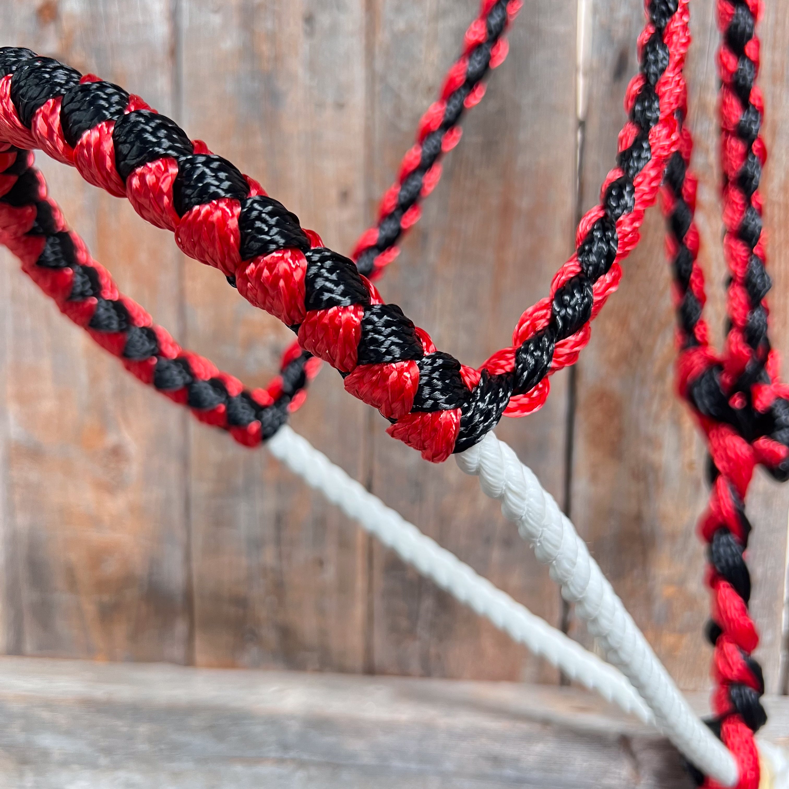 Red and Black Lariat Noseband Mule Tape Halter