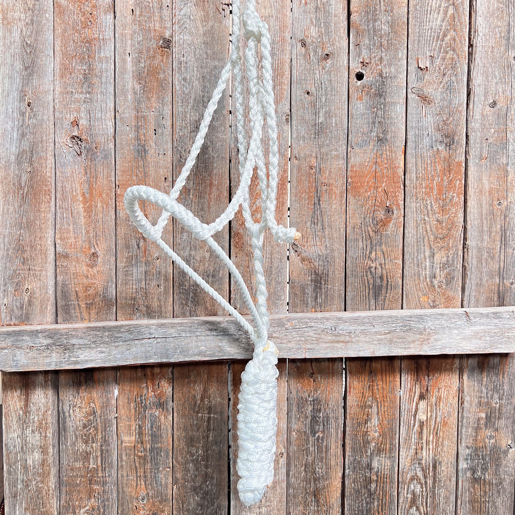 White Lariat Noseband Mule Tape Halter
