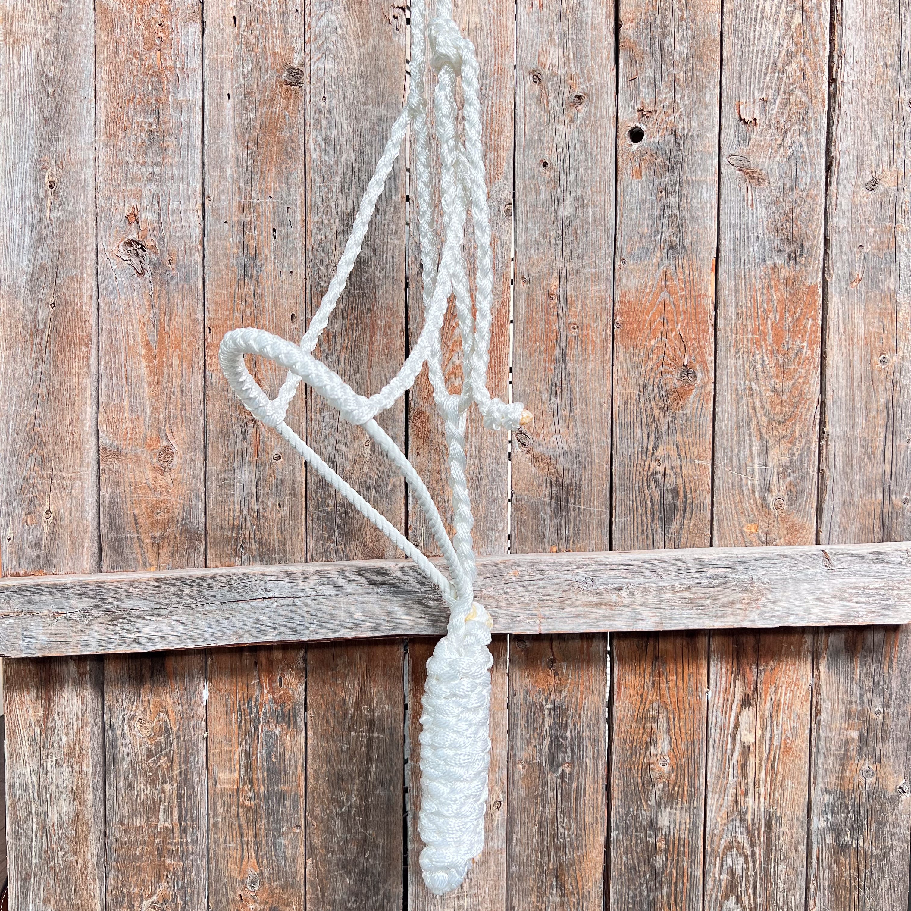 White Lariat Noseband Mule Tape Halter