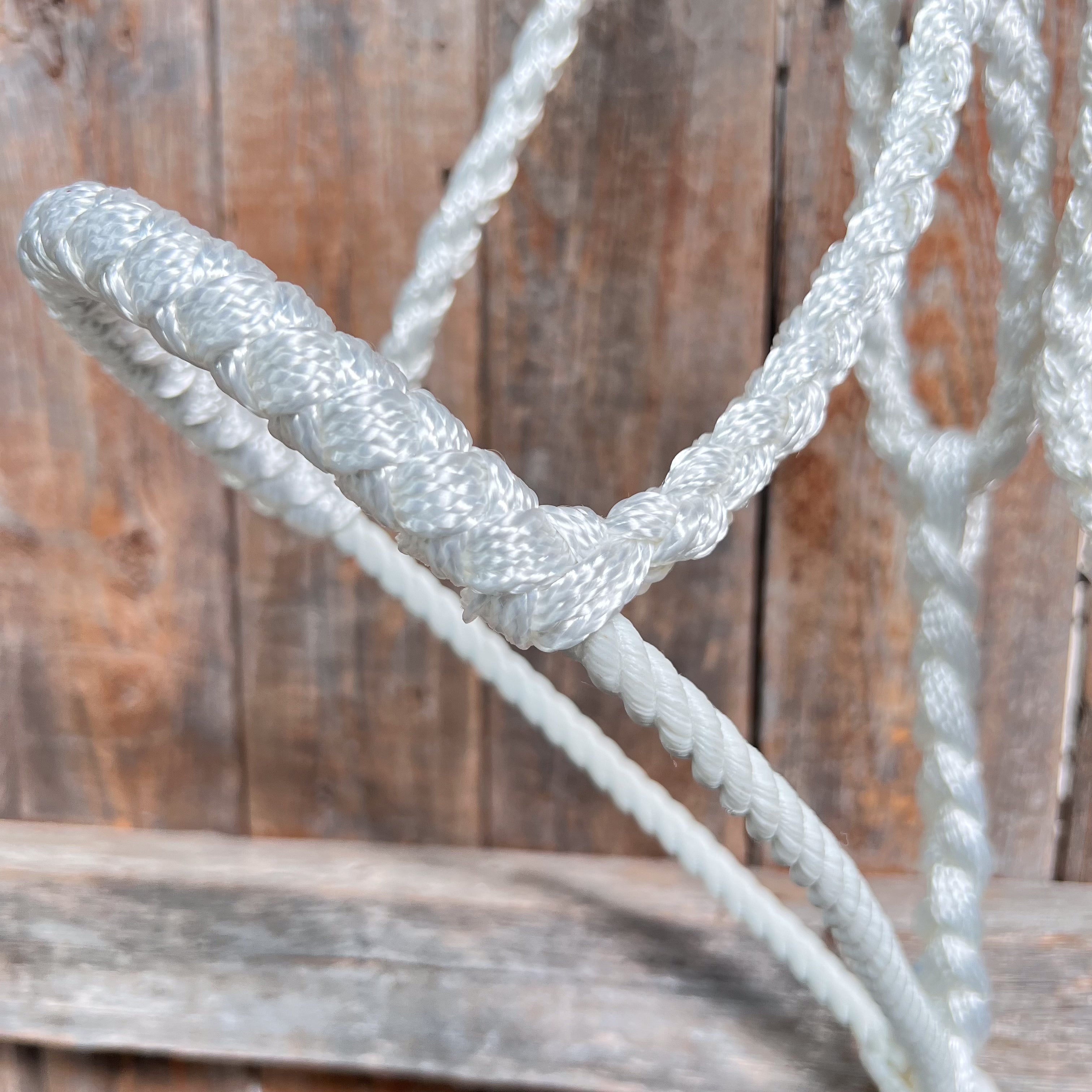 White Lariat Noseband Mule Tape Halter