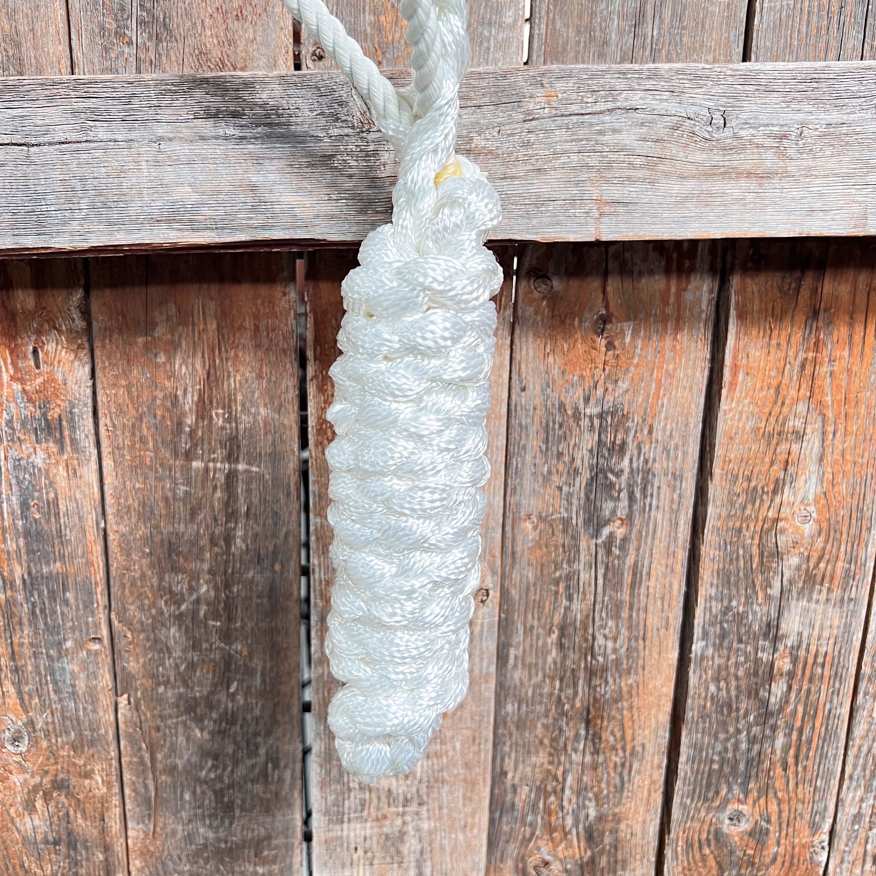 White Lariat Noseband Mule Tape Halter