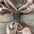 Tooled Leather Wild Rag Slides - Assorted