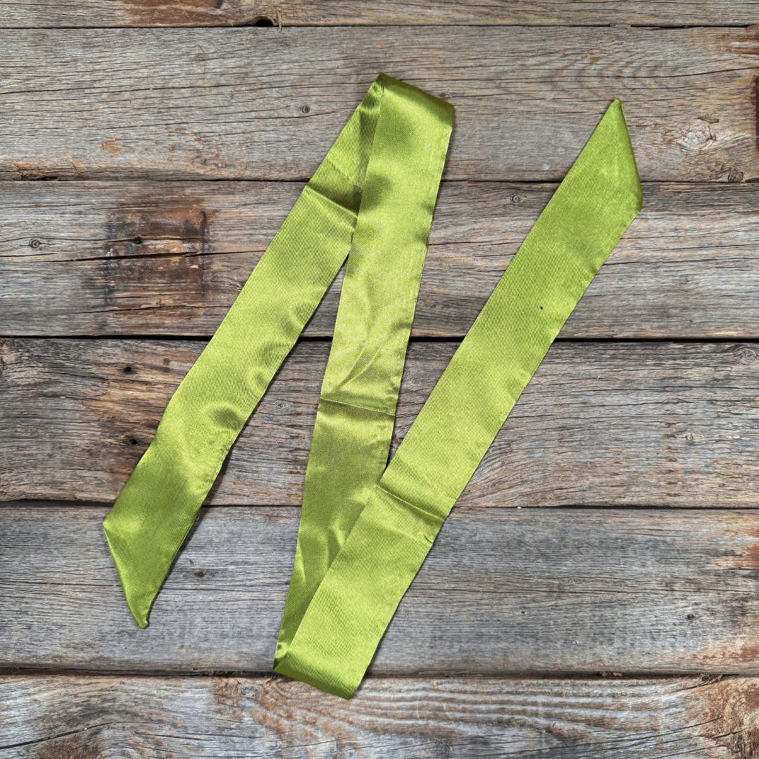 Light Green Western_Wild_Rag_Scarf_for_Cowgirls_Rodeo_Drive_Conchos