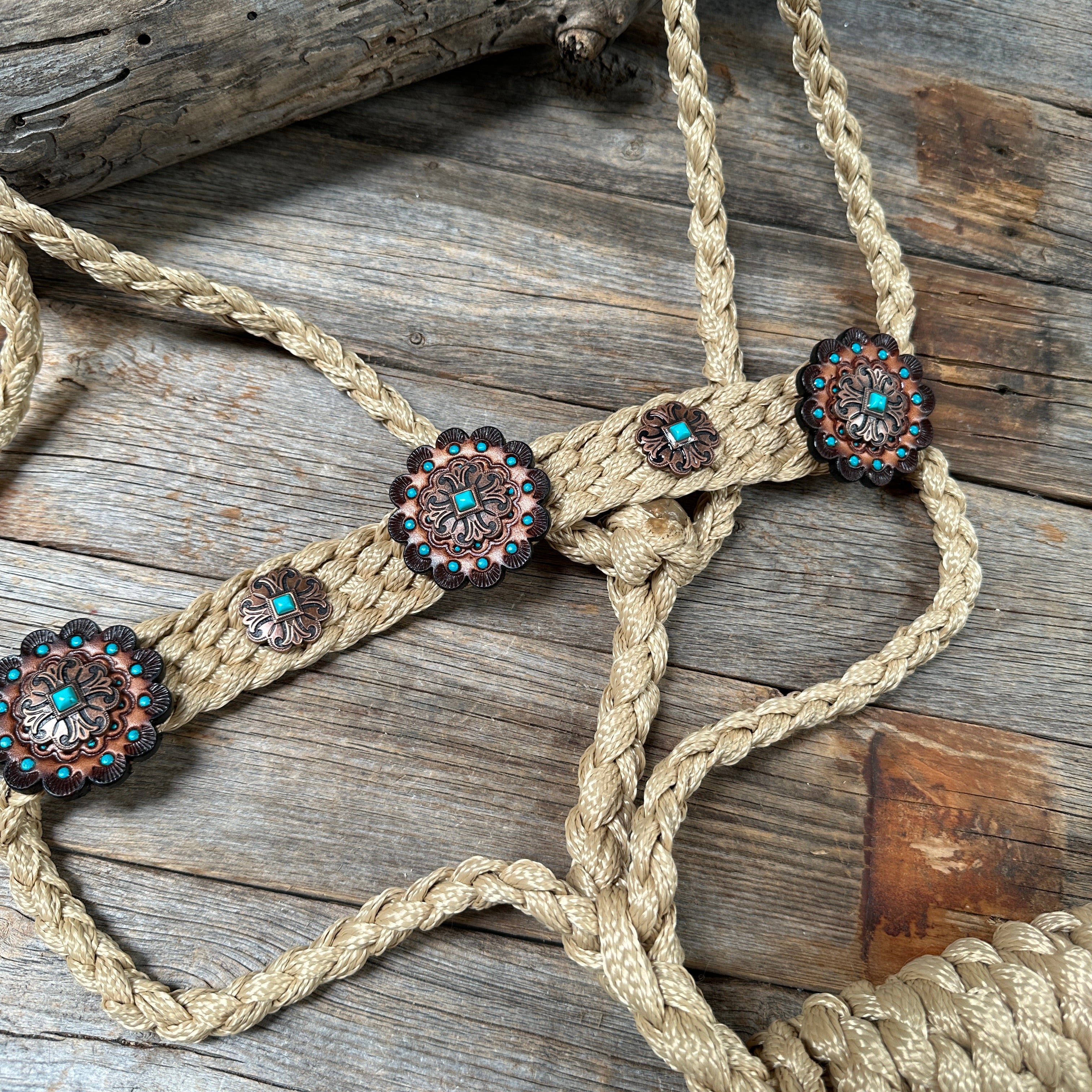 Tan and Turquoise Mule Tape Halter -  #MT116