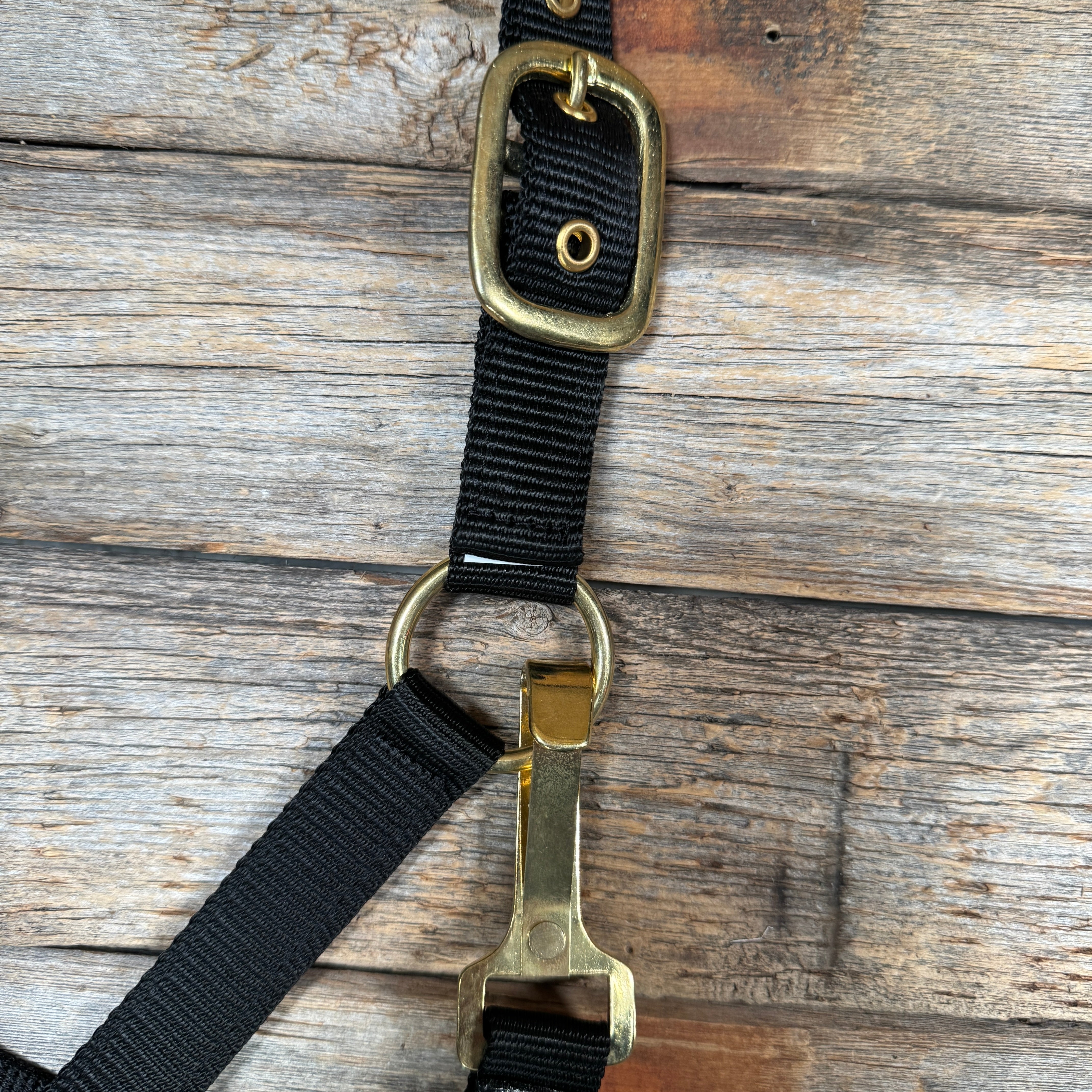 Black Nylon Halter with Floral Leather Noseband #NH116