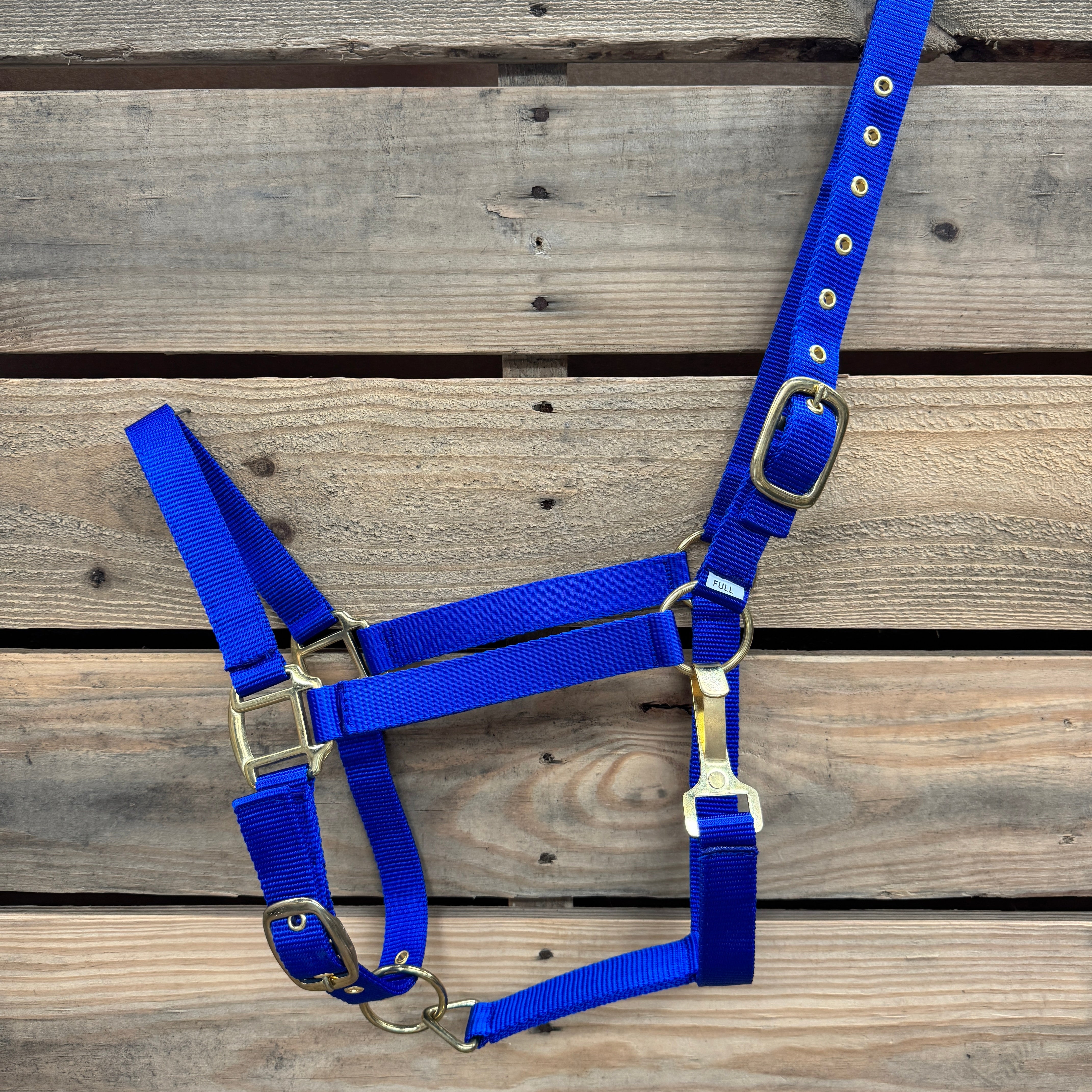 Blue halter with brass hardware on a wooden background