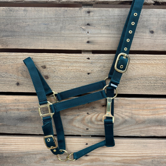 
hunter green 
horse halter with brass hardware on a wooden background