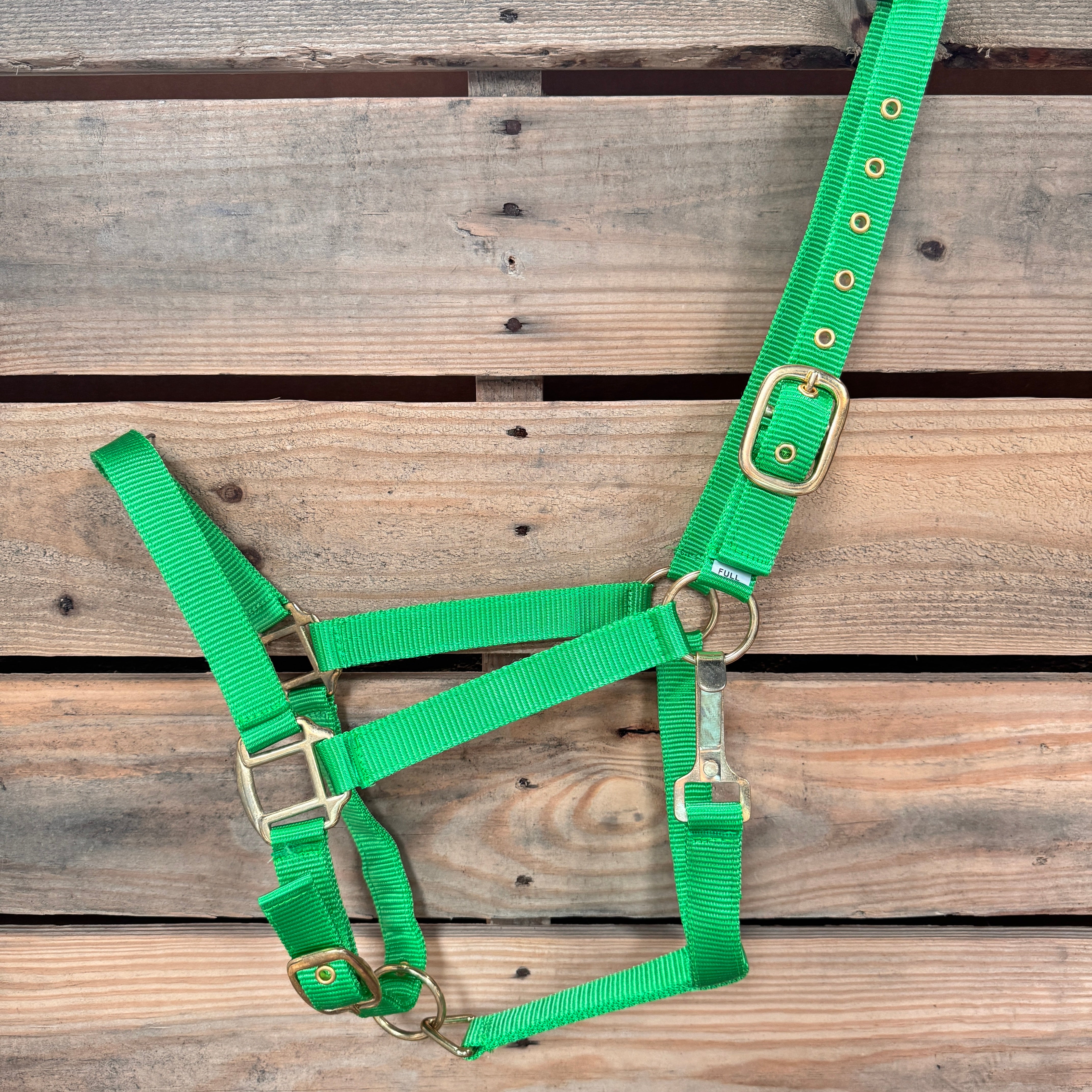 Green horse halter with brass hardware on a wooden background