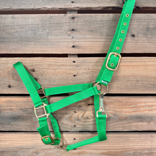 Green horse halter with brass hardware on a wooden background