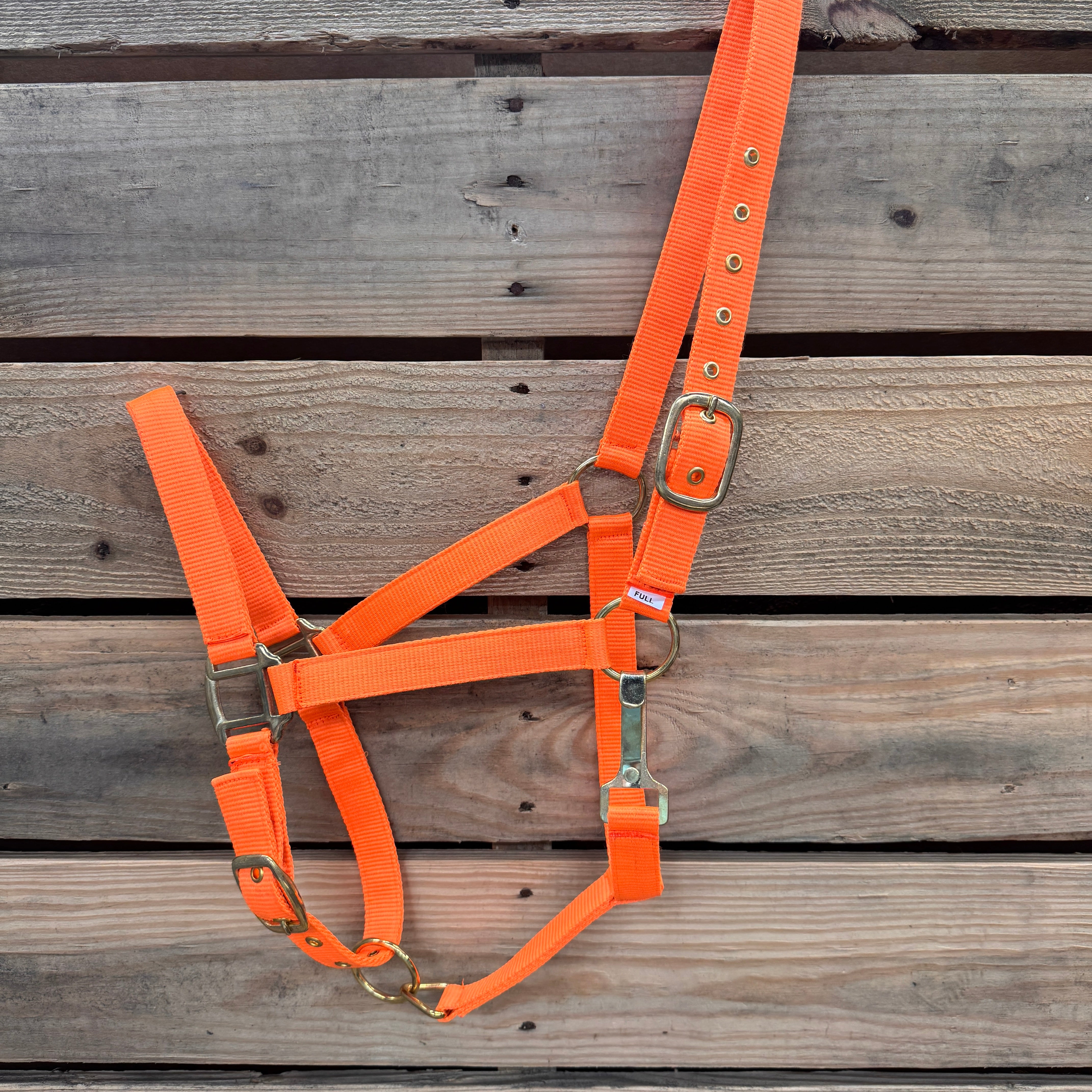 Orange horse halter with brass hardware on a wooden background