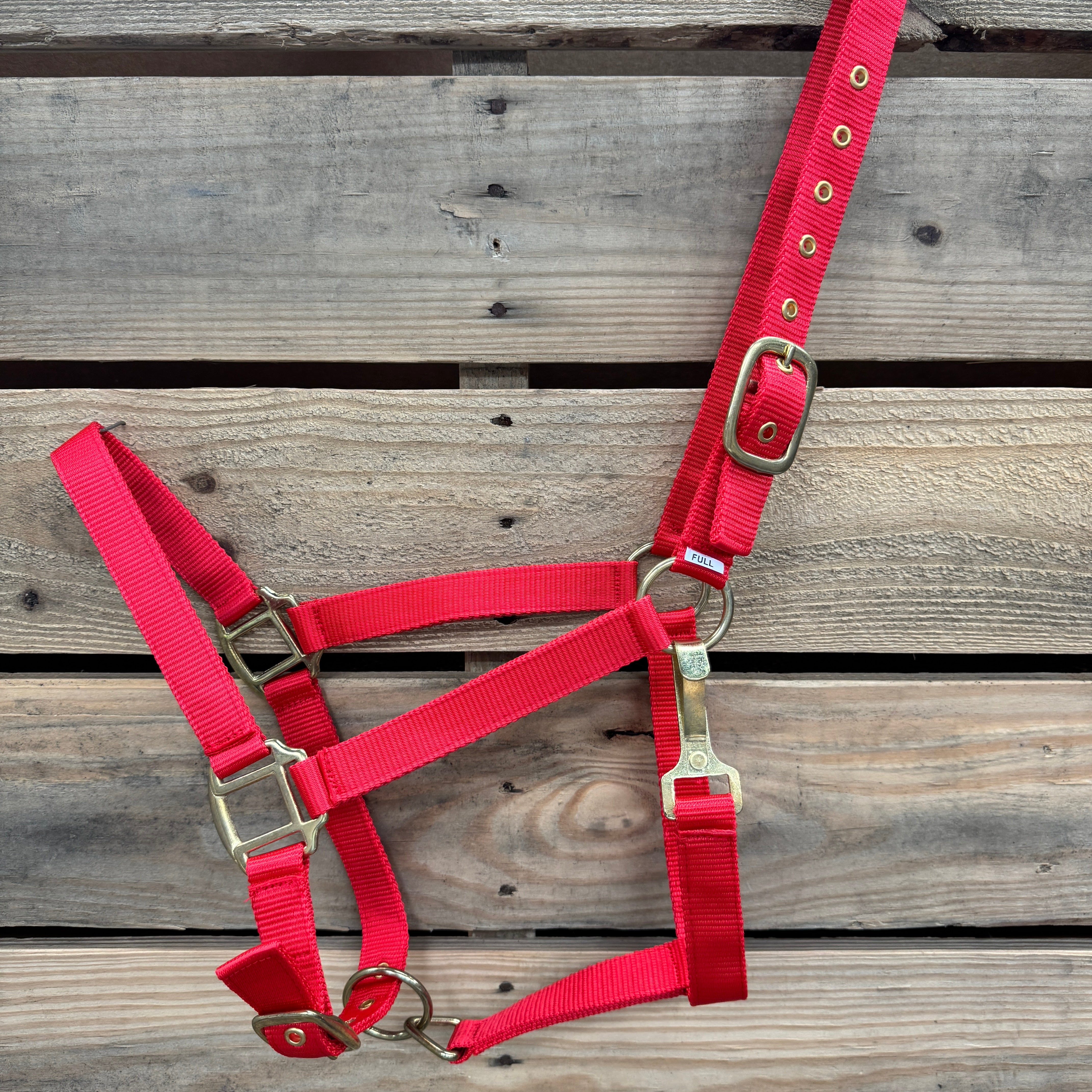 Red horse halter with brass hardware on a wooden background