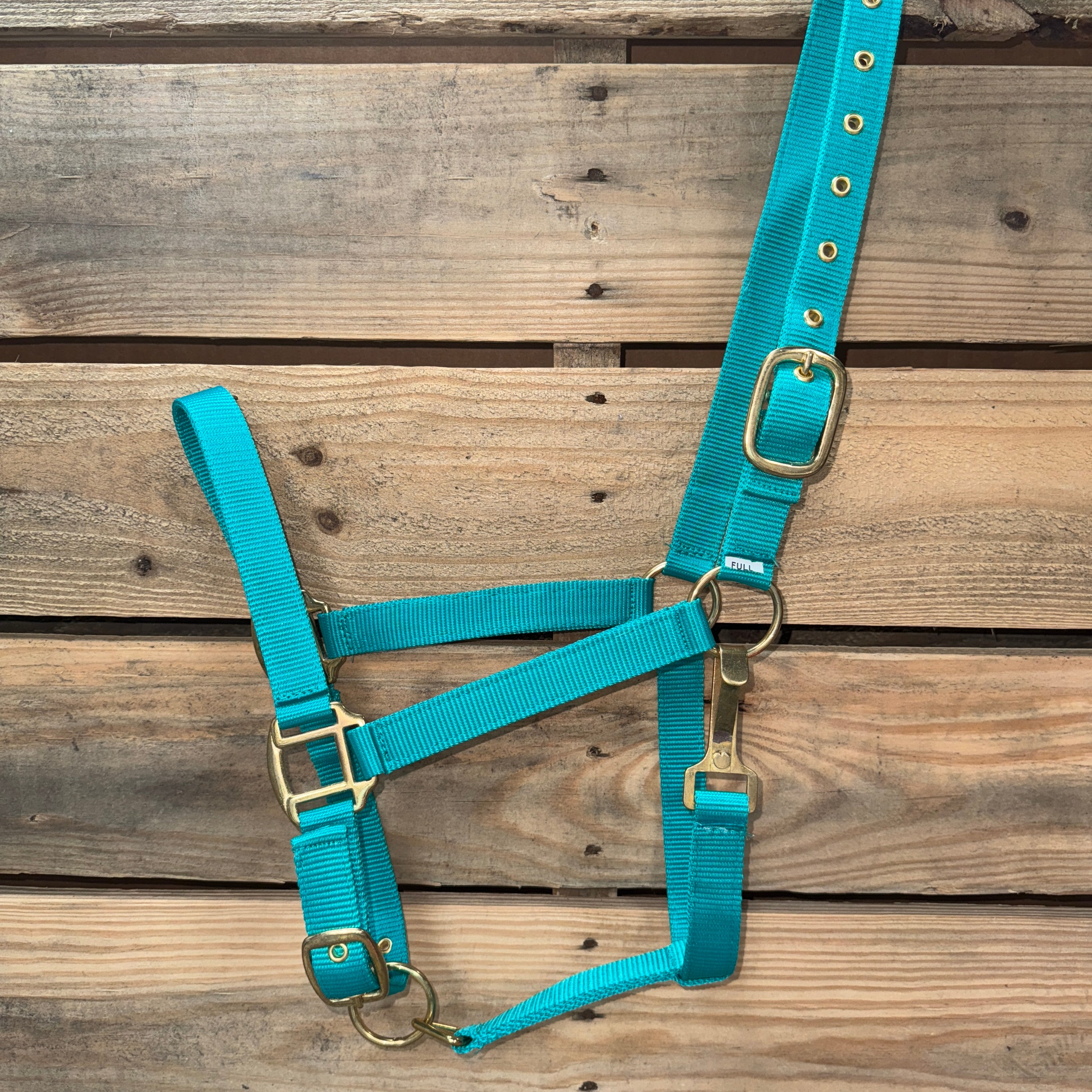 Turquoise horse halter with brass hardware on a wooden background