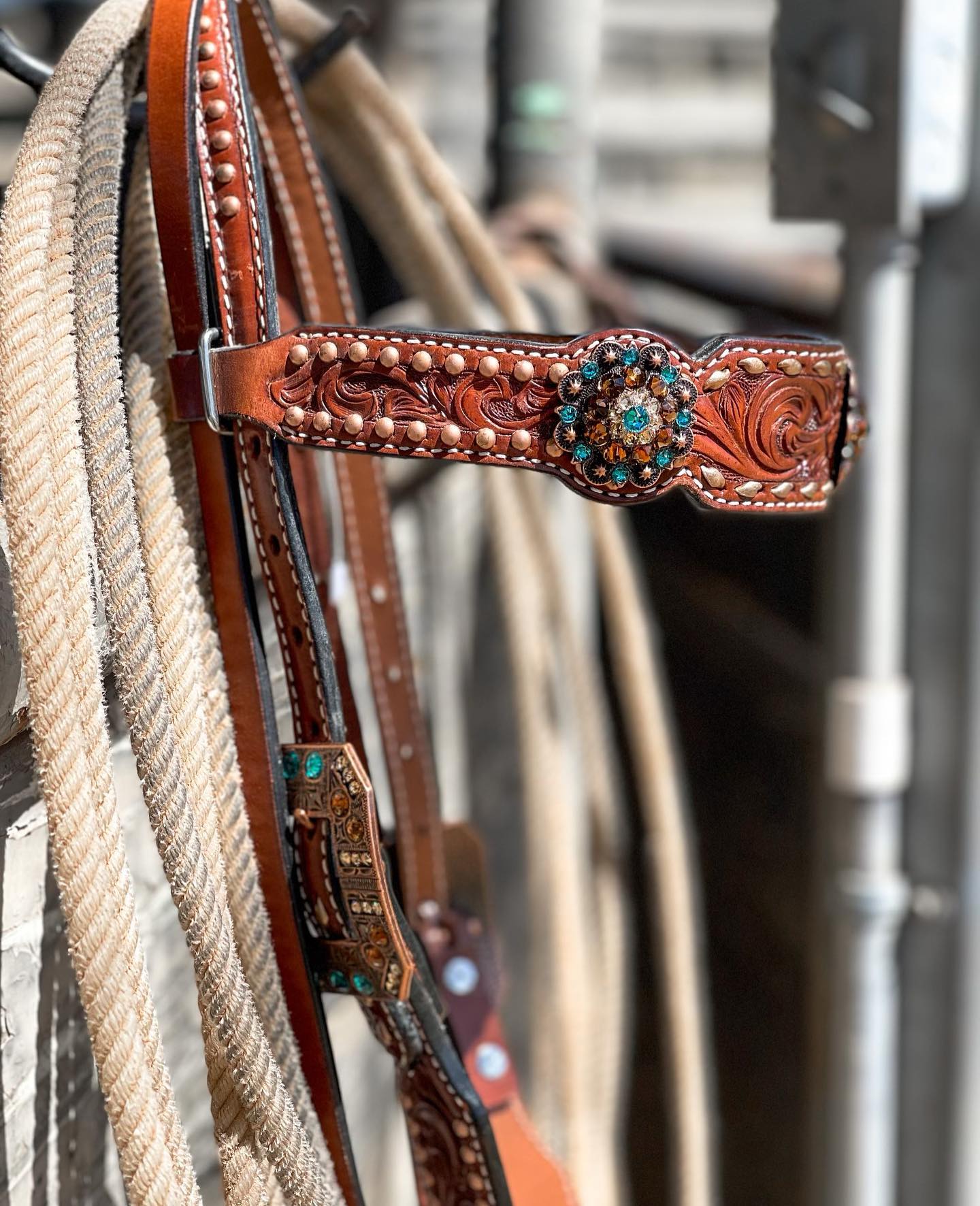 Custom tack for horses, custom dog collars and wild rags
