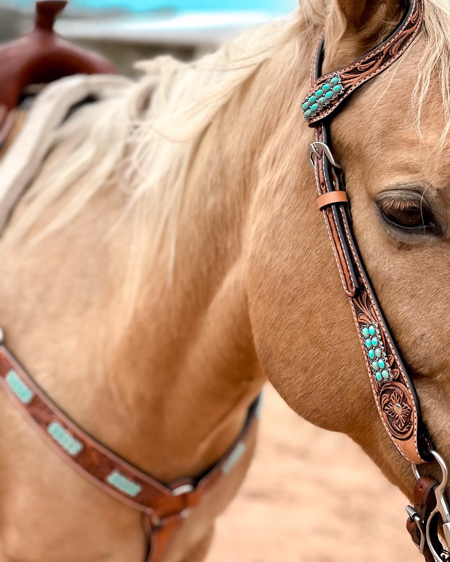 Light Oil Buckaroo Roper Turquoise One Ear & Breastcollar #OEBC446 - RODEO DRIVE
