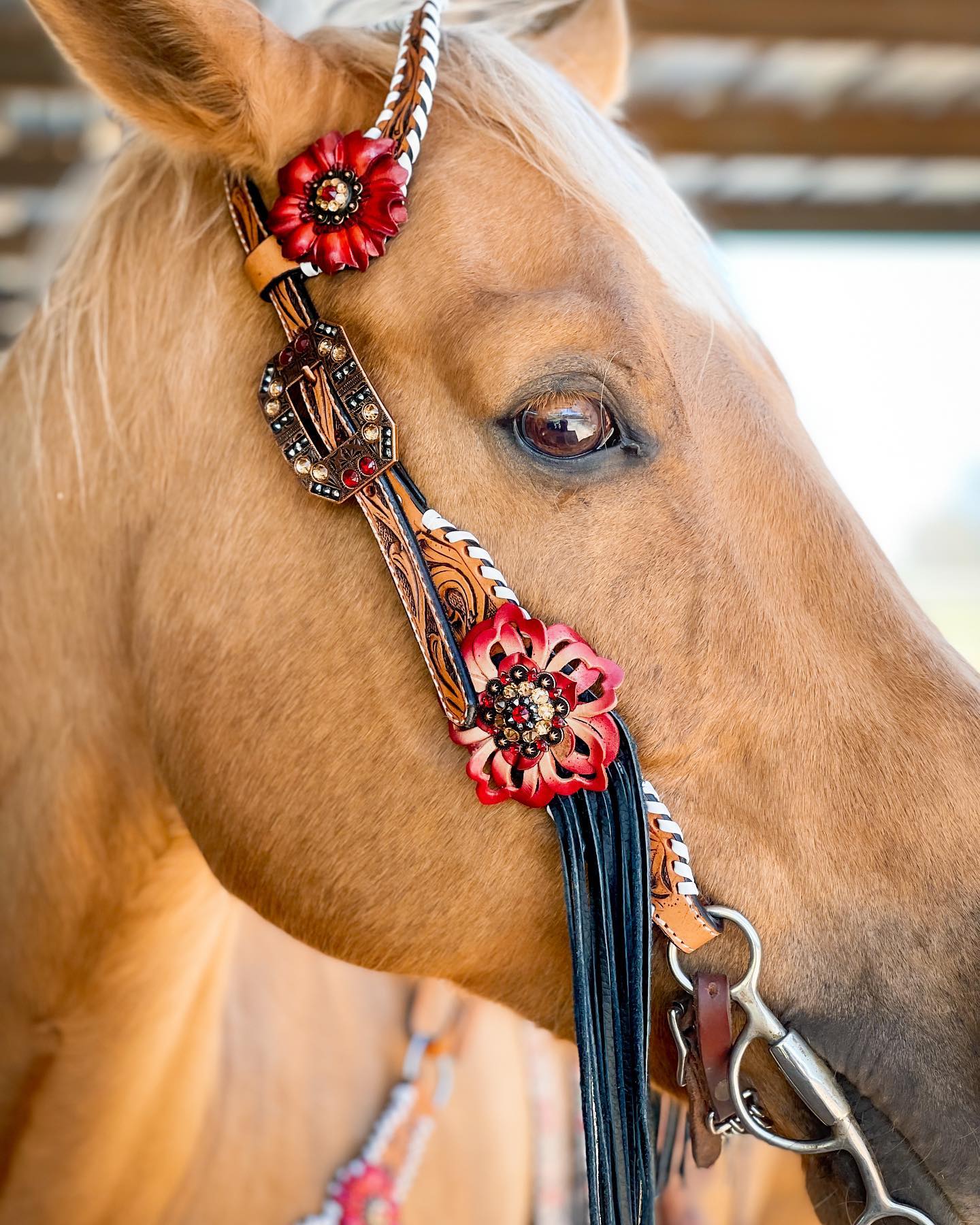 Light Oil Whipstitch Black and Red One Ear & Breastcollar Tack Set #OEBC460 - RODEO DRIVE