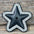 Small Star Rhinestone Rosette