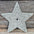Big Star Rhinestone Rosette