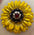 Yellow Daisy Leather Flowers - 1" Crystal Conchos - Options