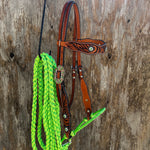 Lime Two Tone Zebra Striped Loping Hackamore #LHK100