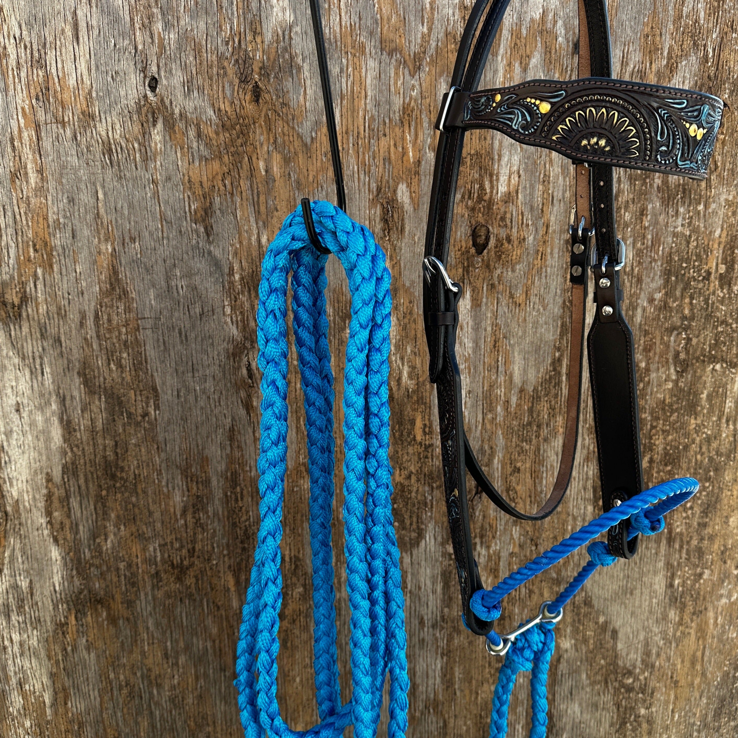 Dark Oil Floral Hand Painted Loping Hackamore #LHK001