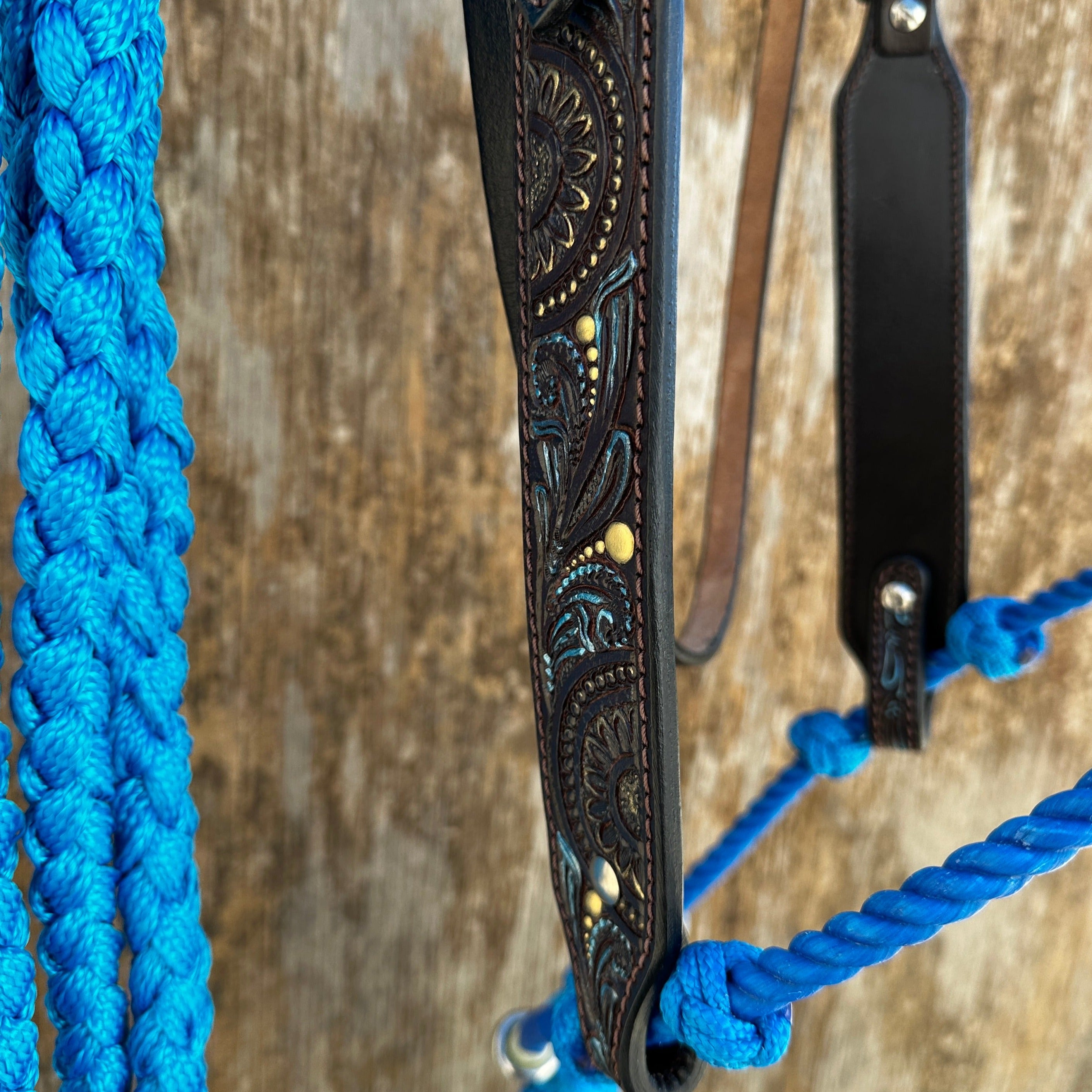 Dark Oil Floral Hand Painted Loping Hackamore #LHK001