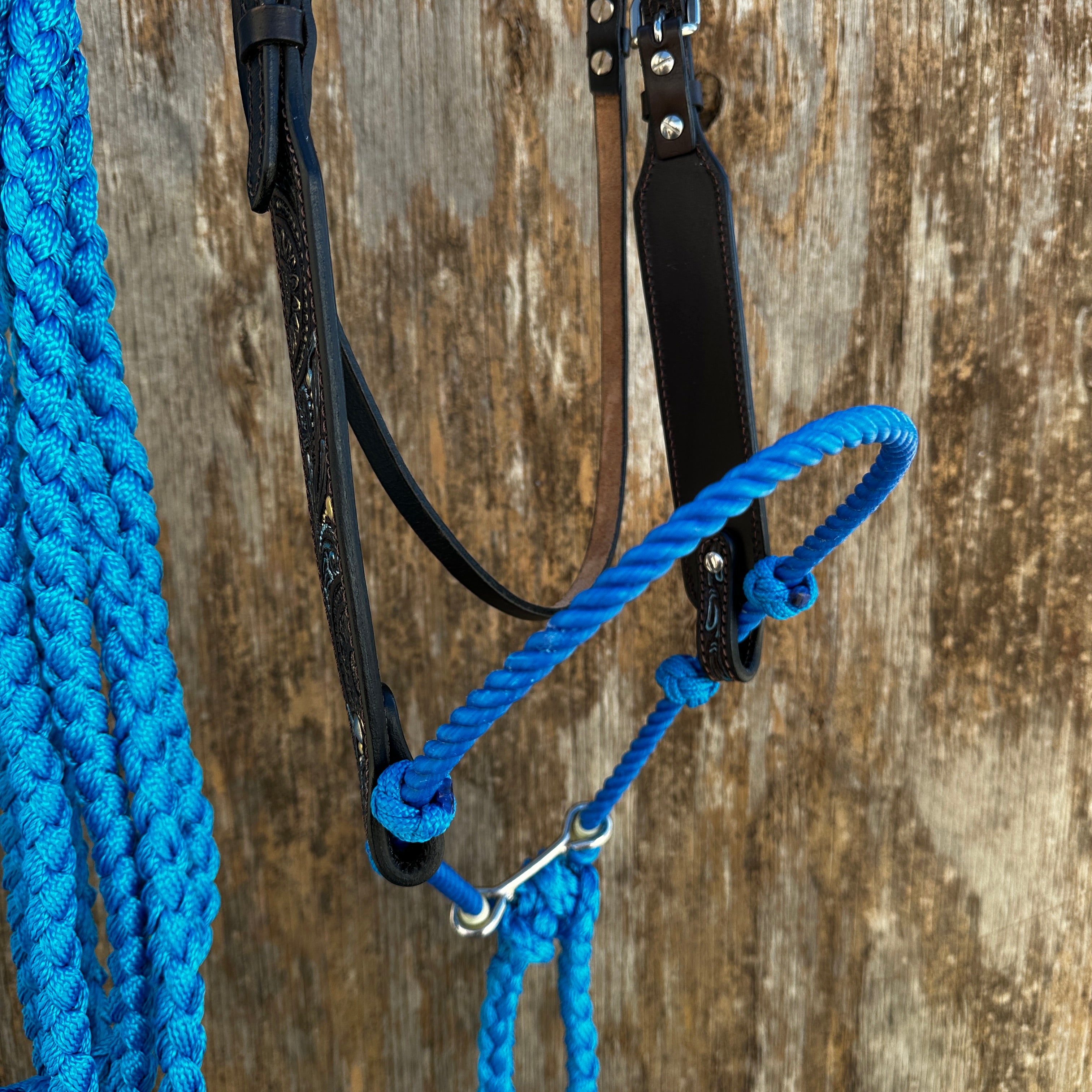 Dark Oil Floral Hand Painted Loping Hackamore #LHK001