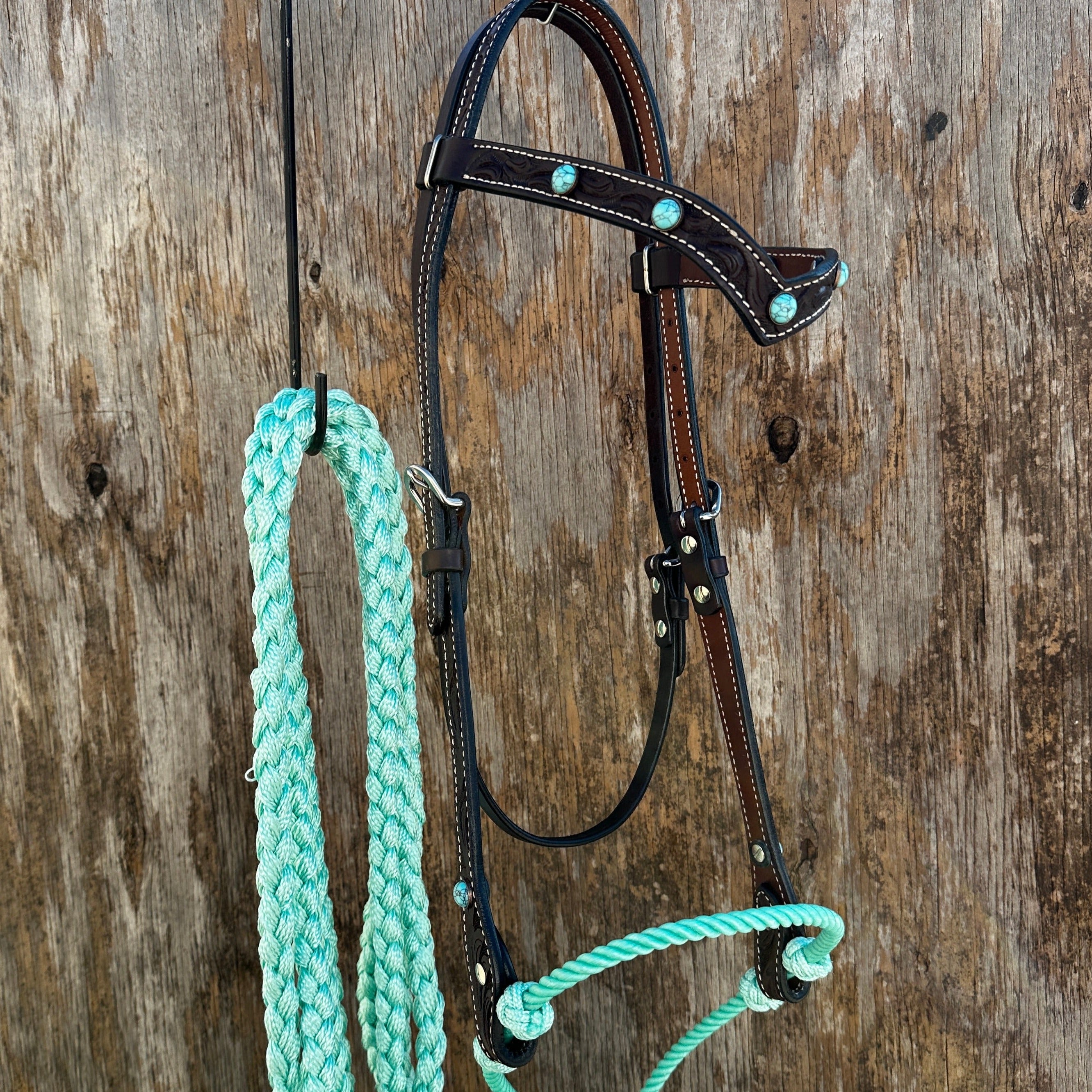 Black V-Brow Turquoise Loping Hackamore #LHK104