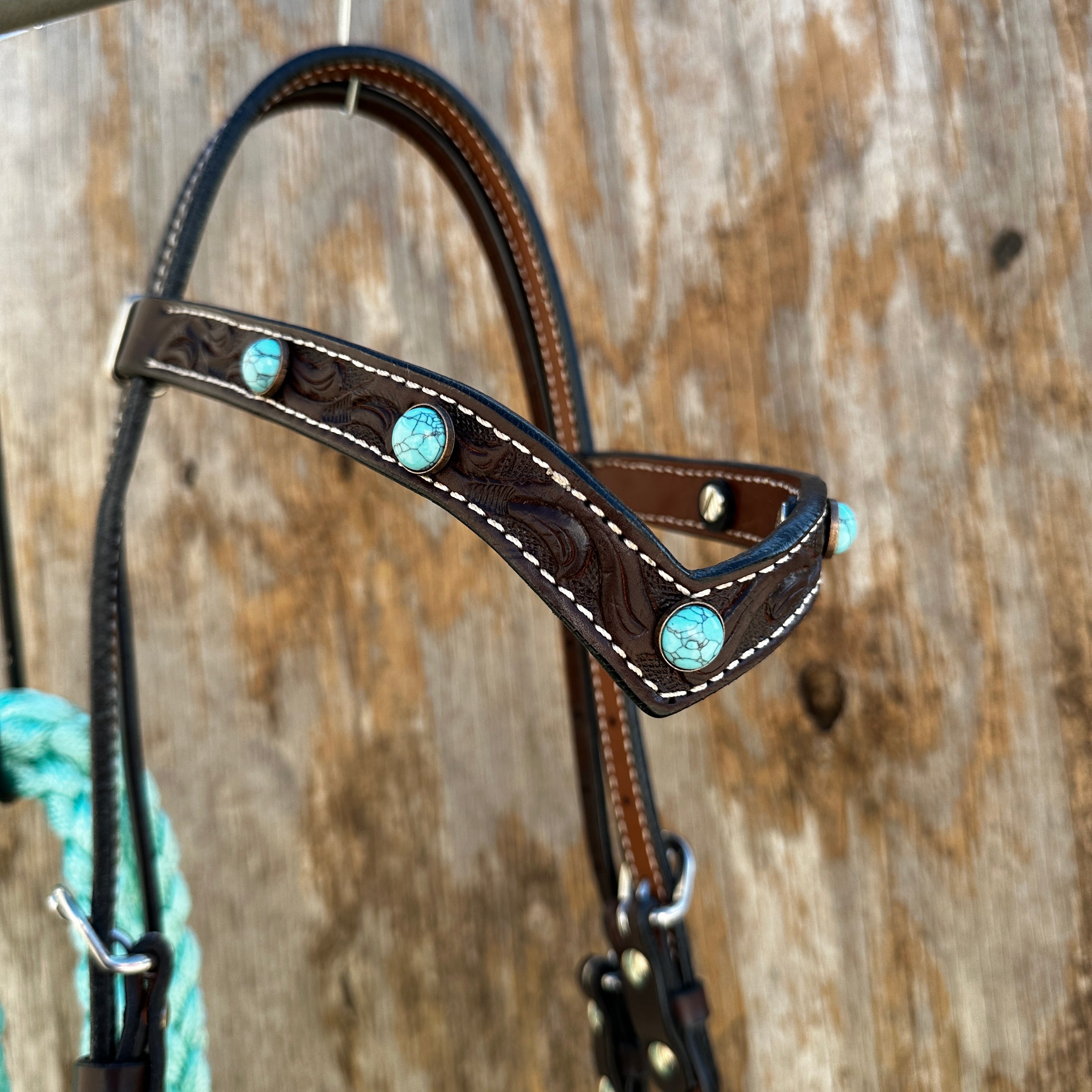Black V-Brow Turquoise Loping Hackamore #LHK104
