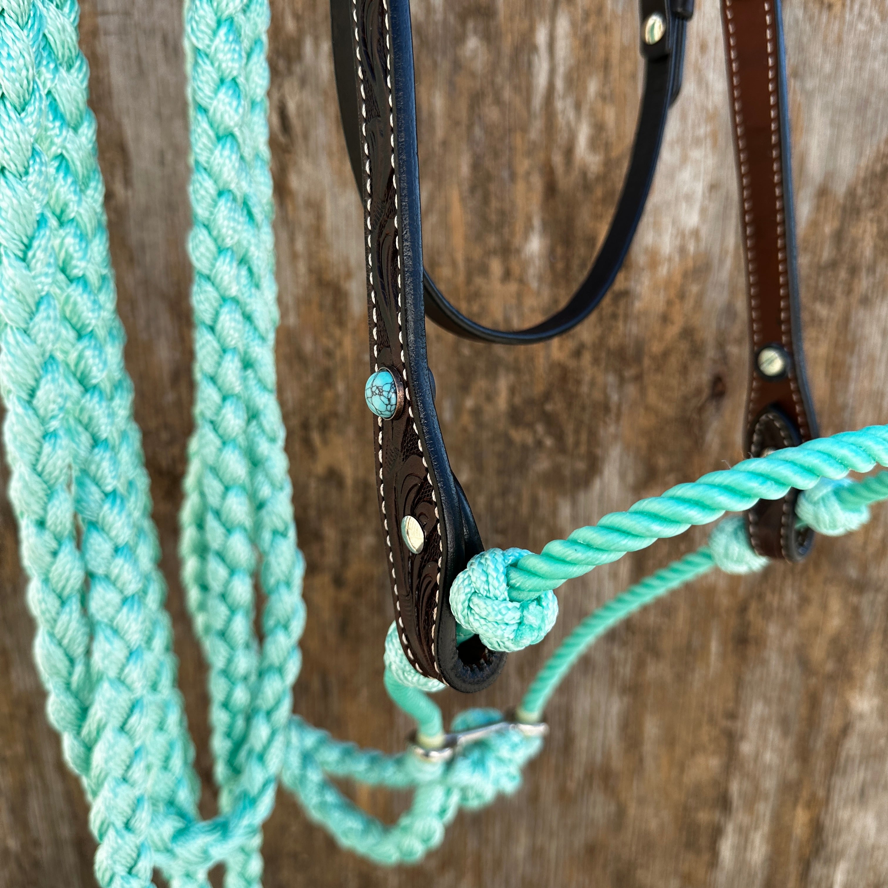 Black V-Brow Turquoise Loping Hackamore #LHK104