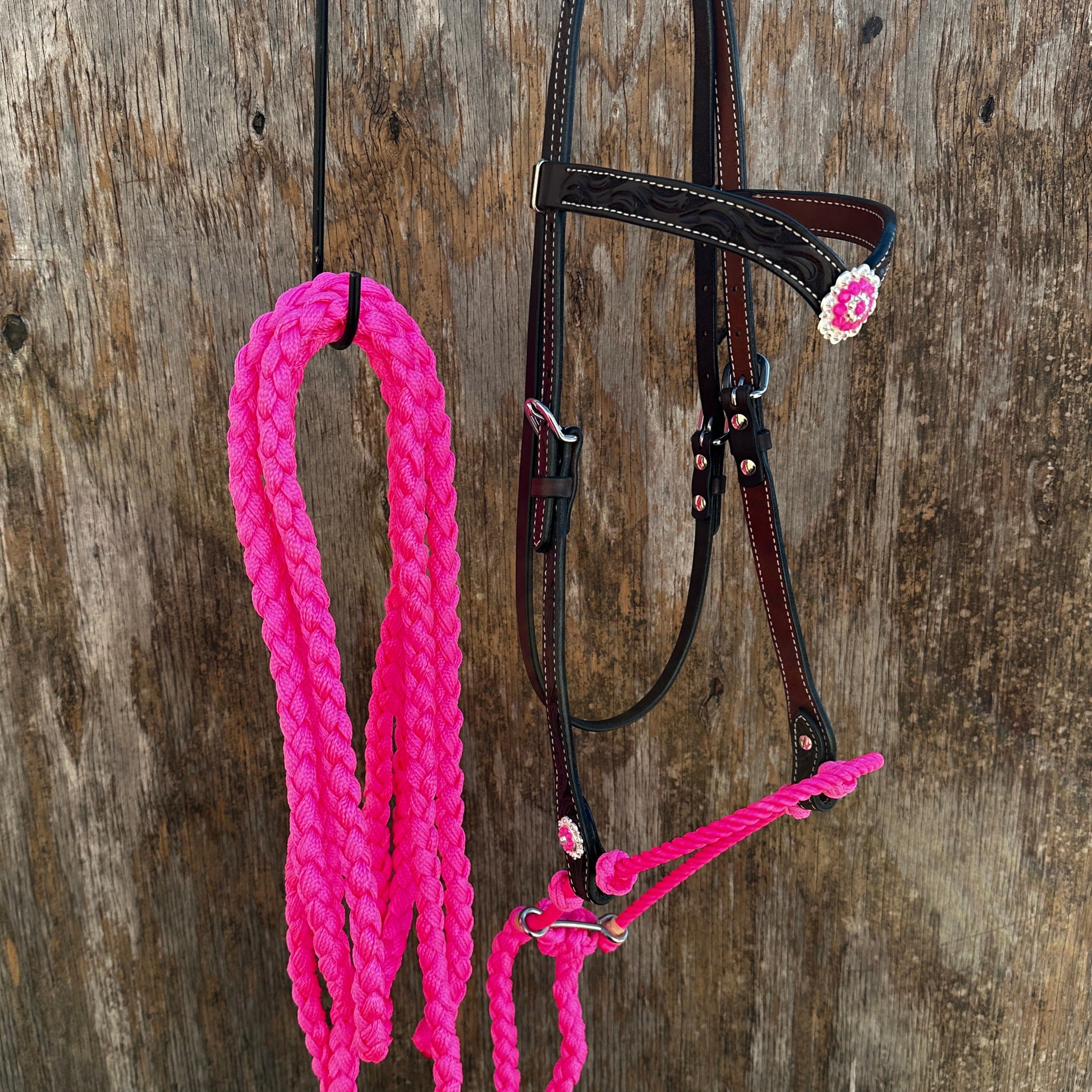 Black VBrow Neon Pink Loping Hackamore LHK101