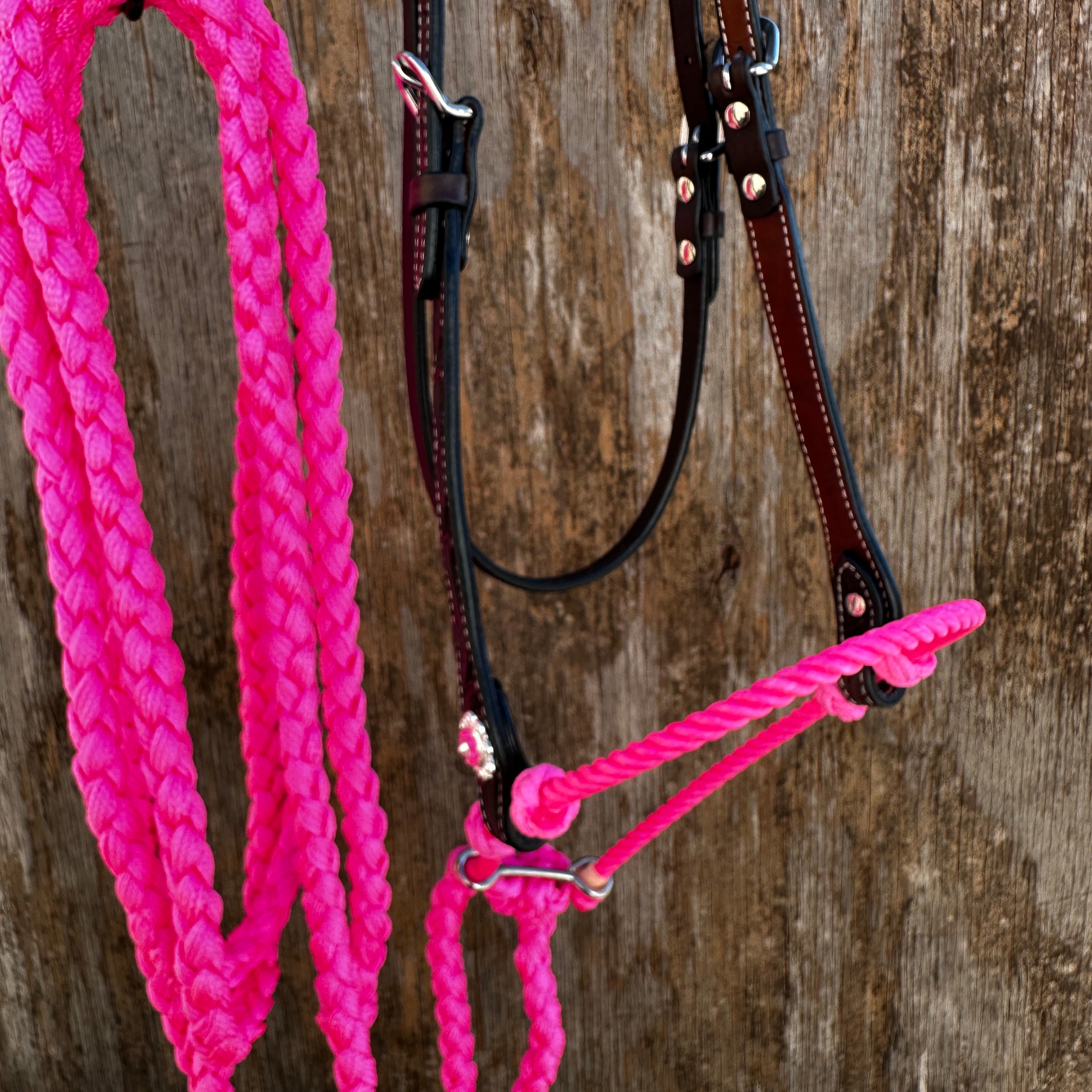 Black V-Brow Neon Pink Loping Hackamore #LHK101