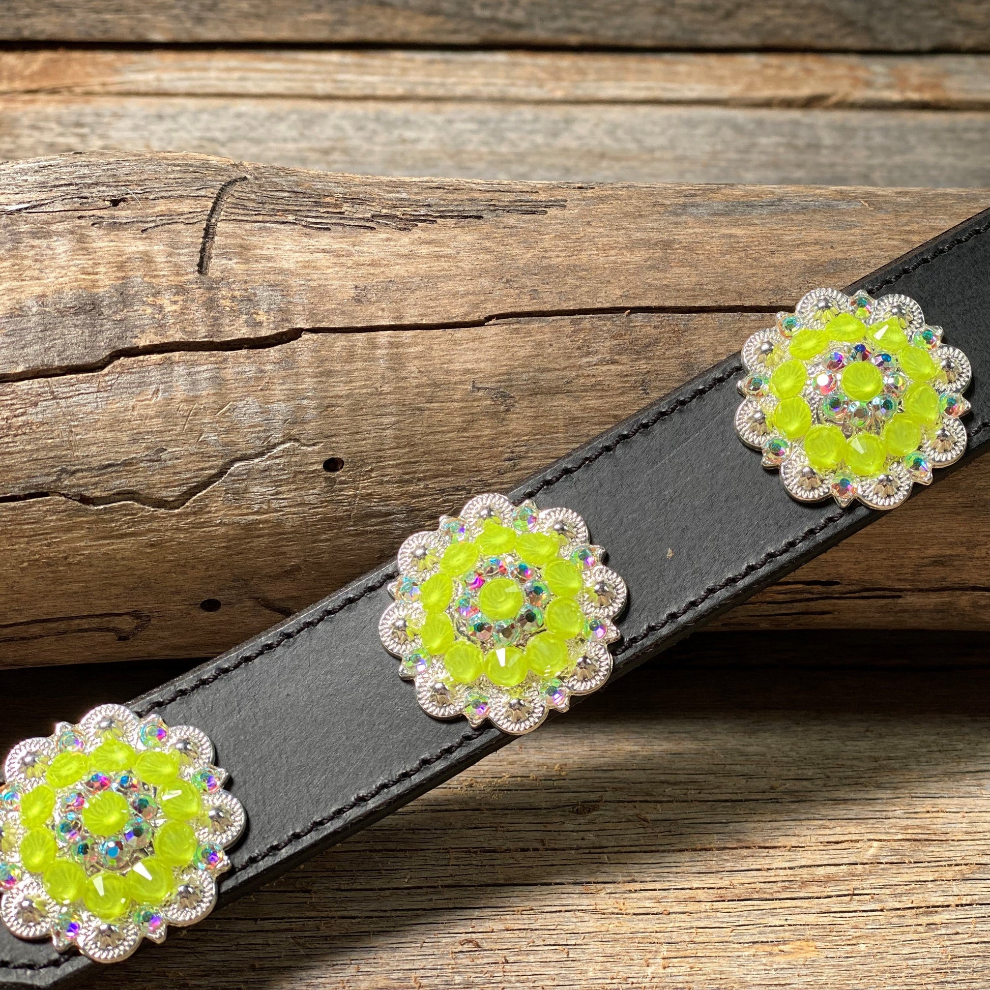 DC18- Neon Concho Dog Collar - RODEO DRIVE