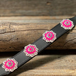 DC18- Neon Concho Dog Collar - RODEO DRIVE