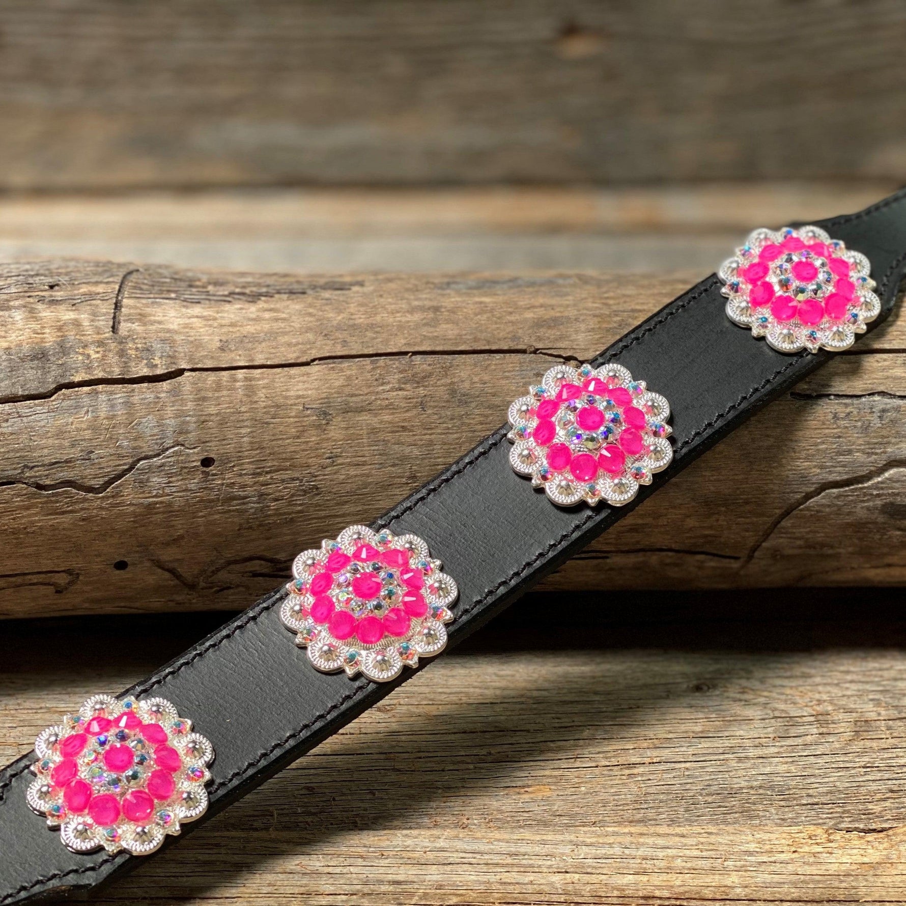 DC18- Neon Concho Dog Collar - RODEO DRIVE