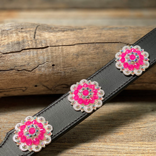 DC18- Neon Concho Dog Collar - RODEO DRIVE