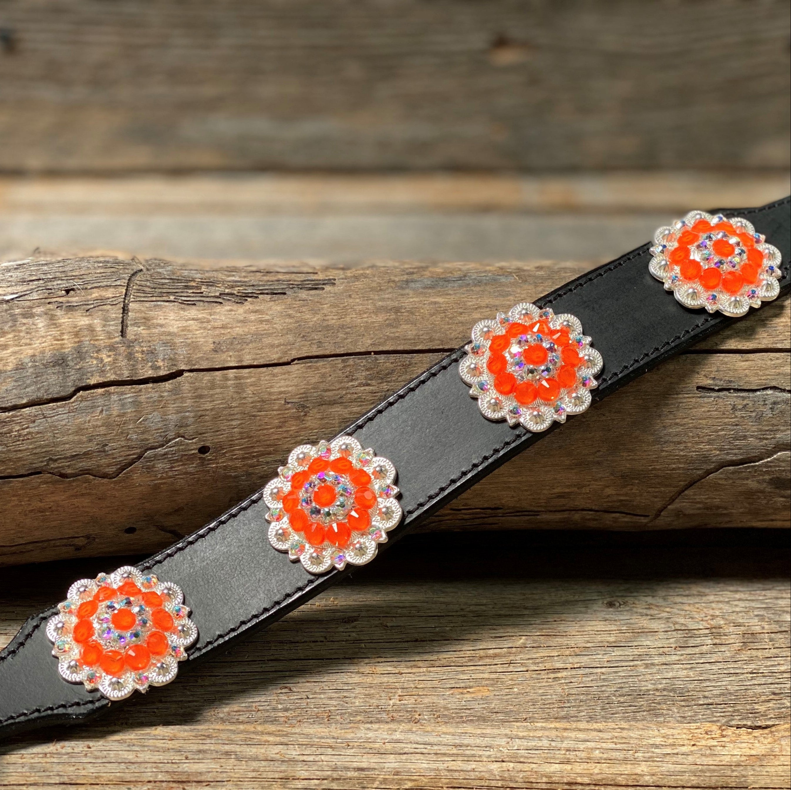 DC18- Neon Concho Dog Collar - RODEO DRIVE