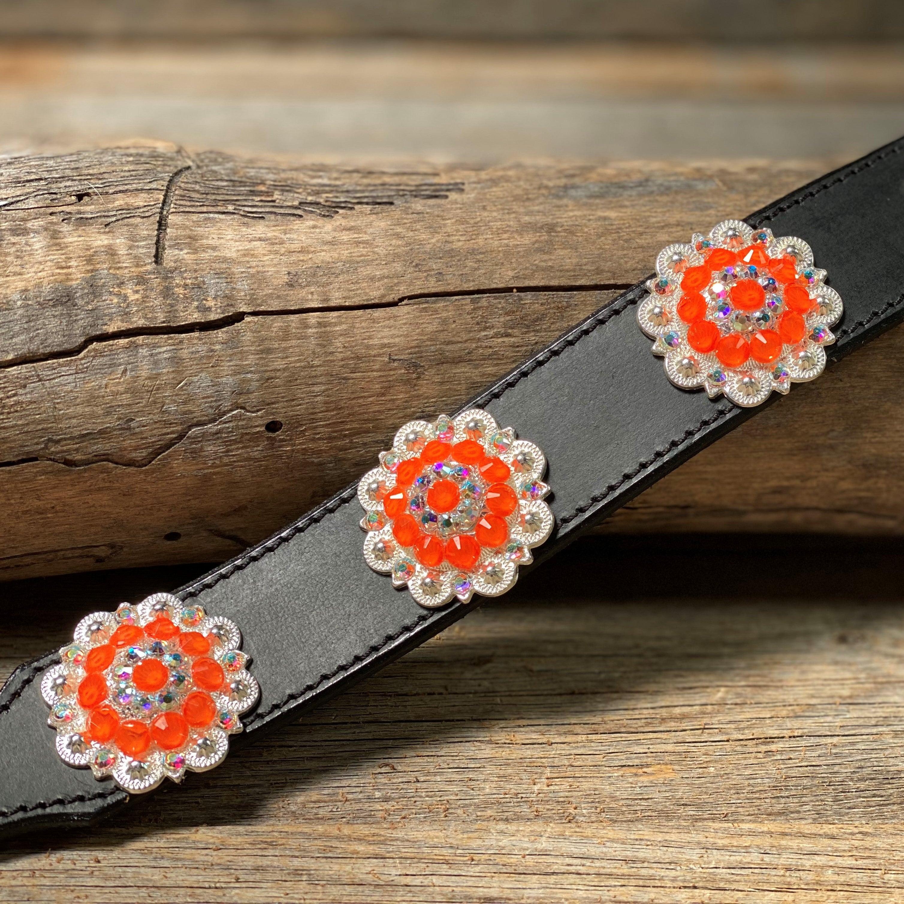 DC18- Neon Concho Dog Collar - RODEO DRIVE