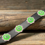 DC18- Neon Concho Dog Collar - RODEO DRIVE