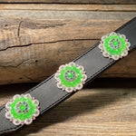 DC18- Neon Concho Dog Collar - RODEO DRIVE