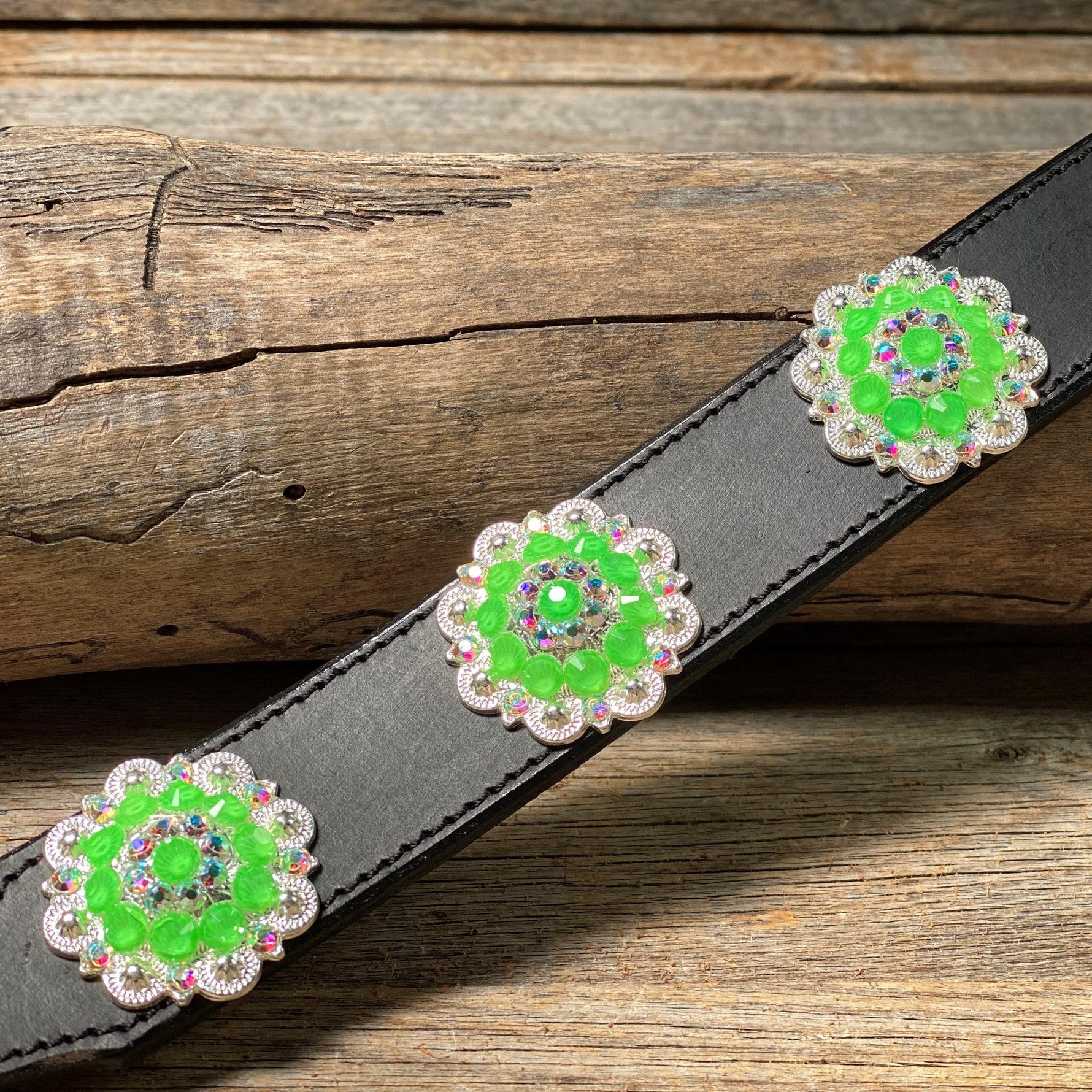 DC18- Neon Concho Dog Collar - RODEO DRIVE