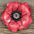 Pink Gardenia Leather Flowers - 1" Crystal Conchos - Options