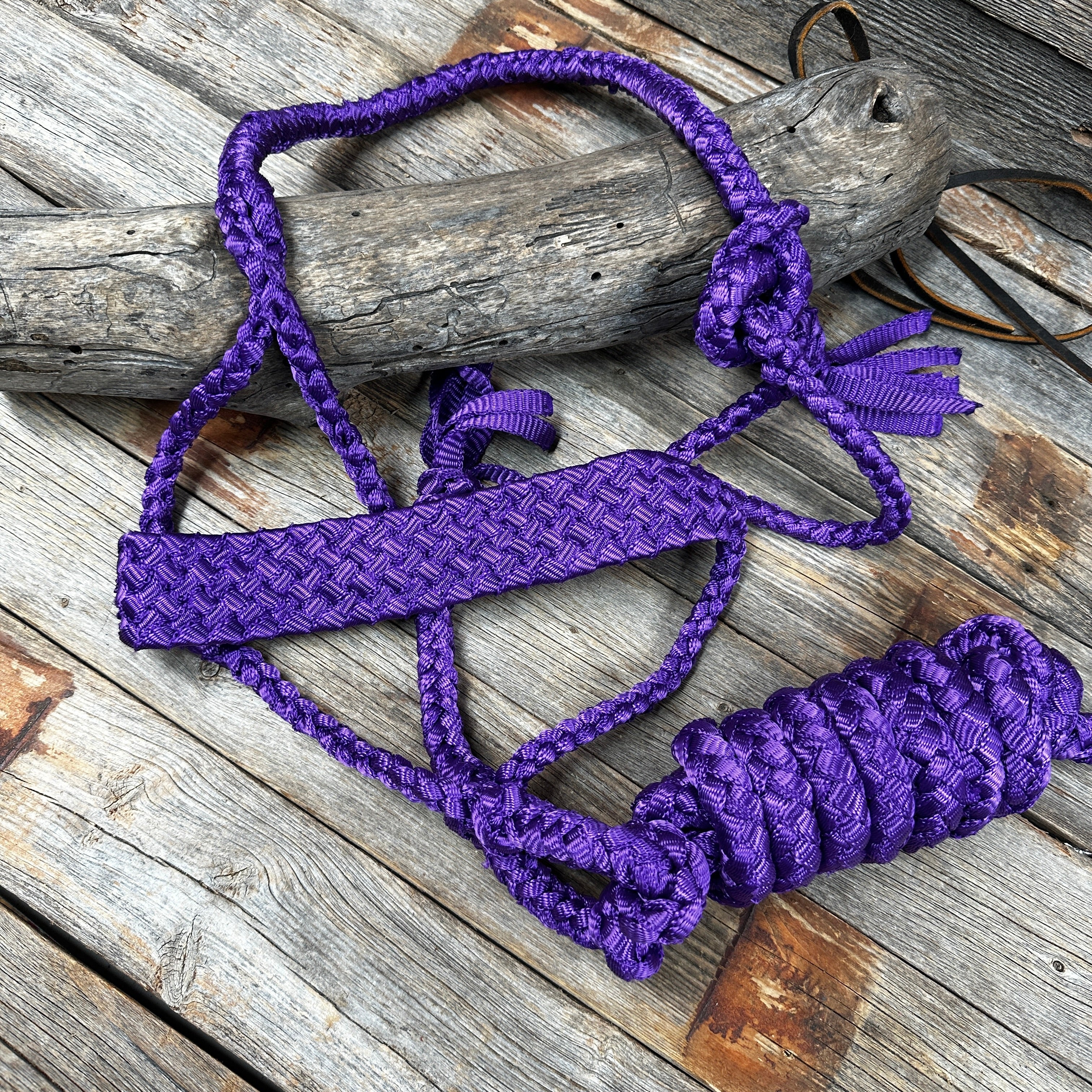 Purple Flat Braided Mule Tape Halter